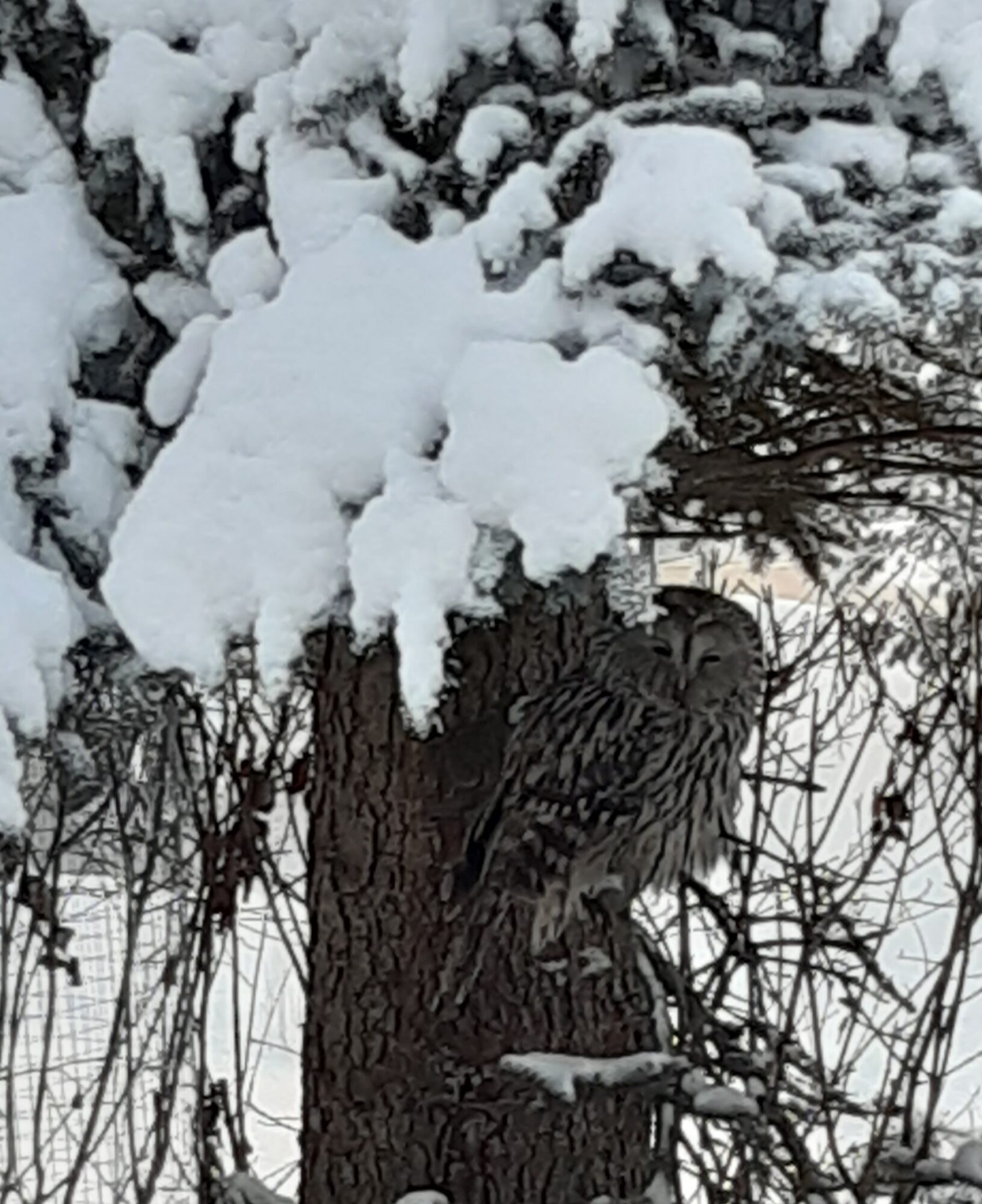 Valokuvaaja: Sinikka Reivi