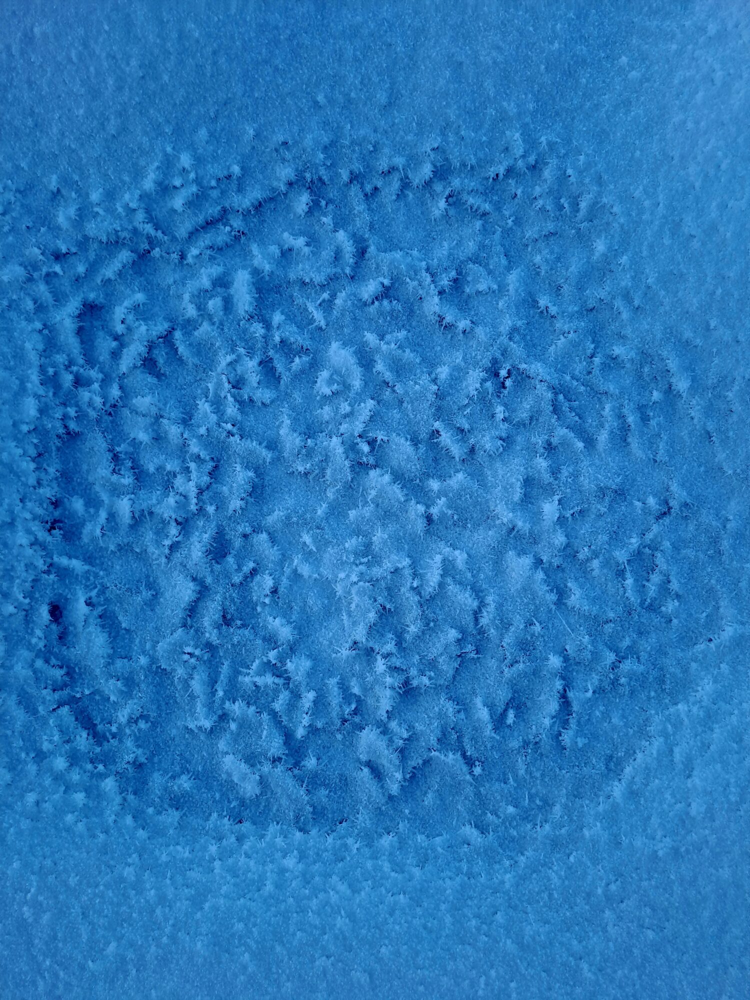 Valokuvaaja: Kaisa Marila Valokuvaaja: Kaisa Marila