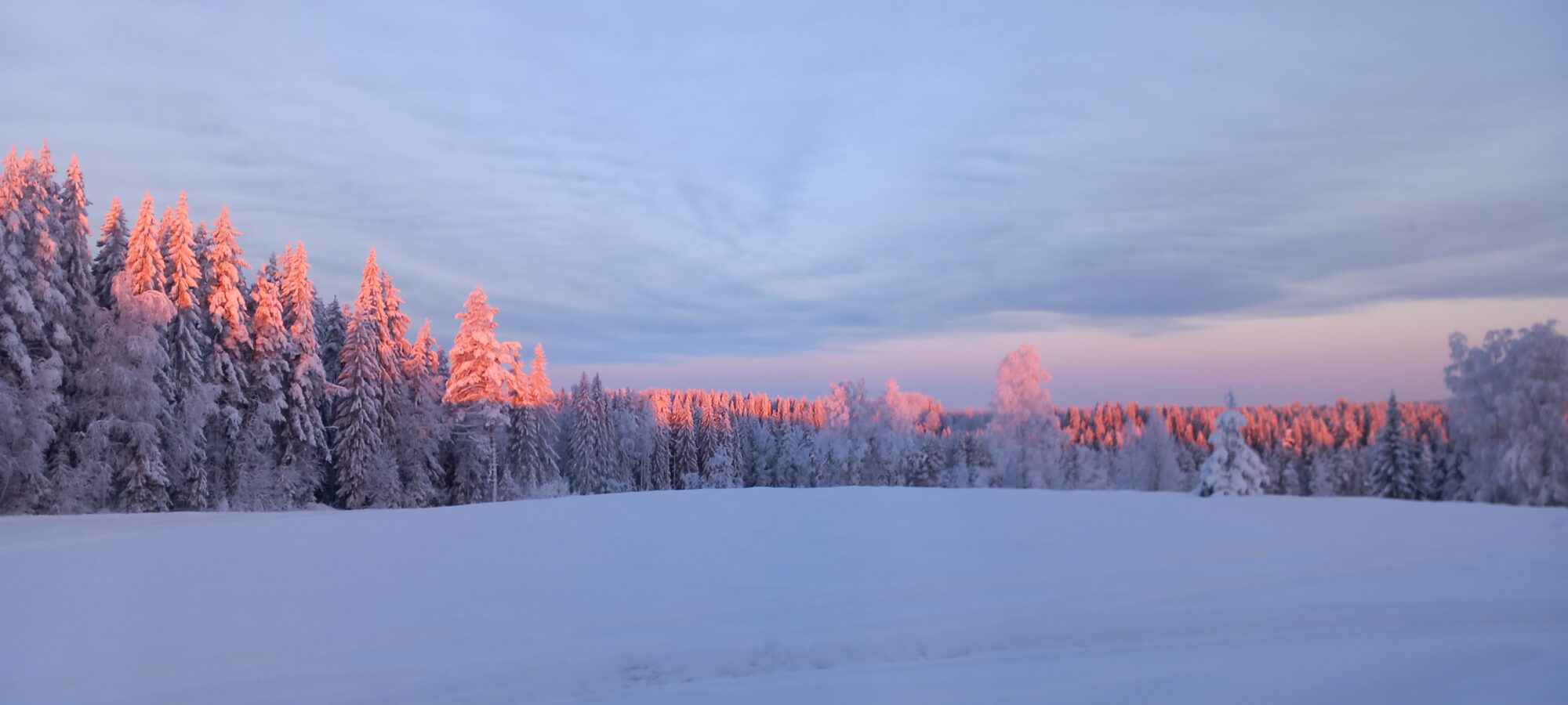 Valokuvaaja: Helena Minkkilä
