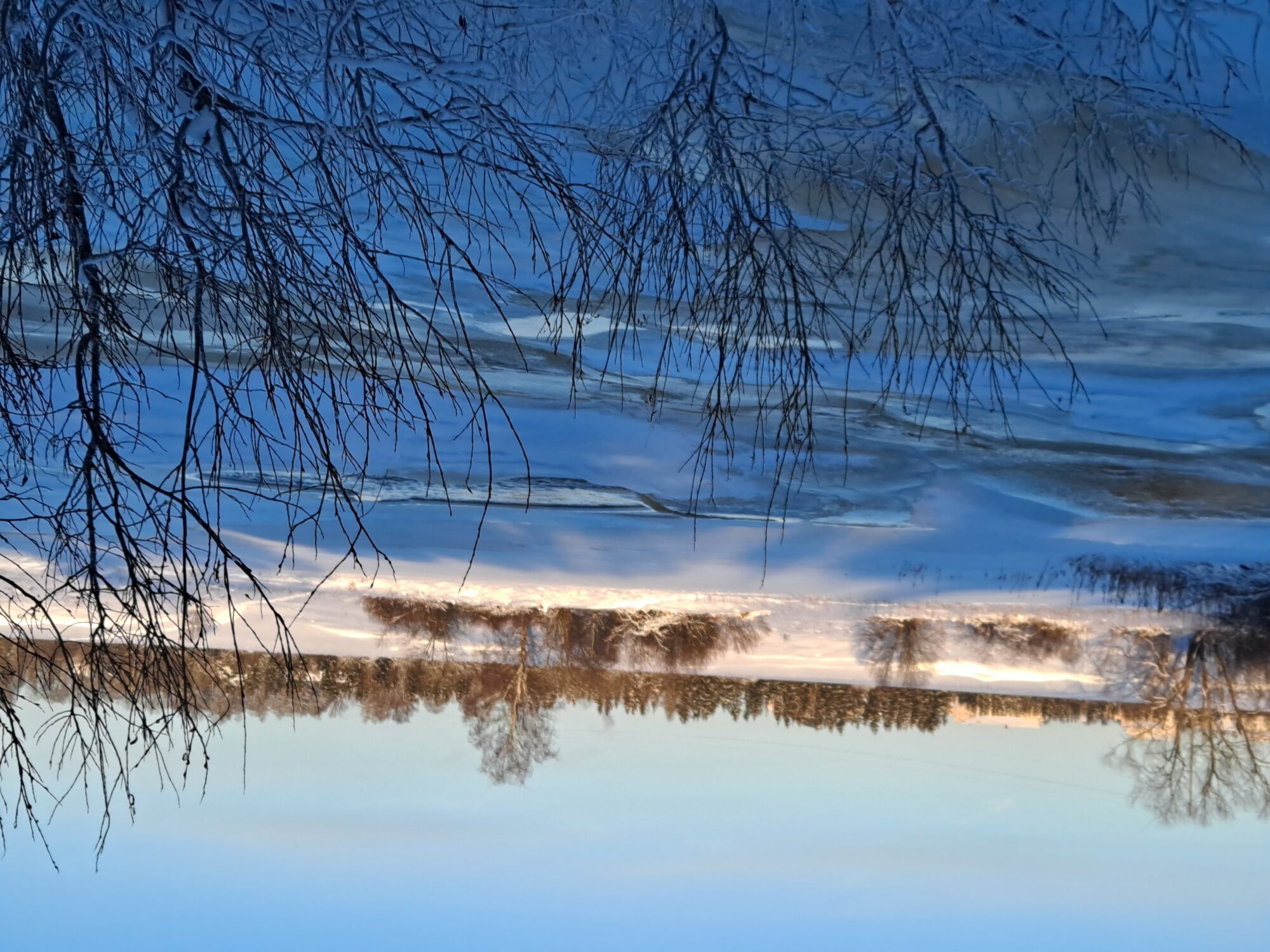 Valokuvaaja: Satu Suuntala