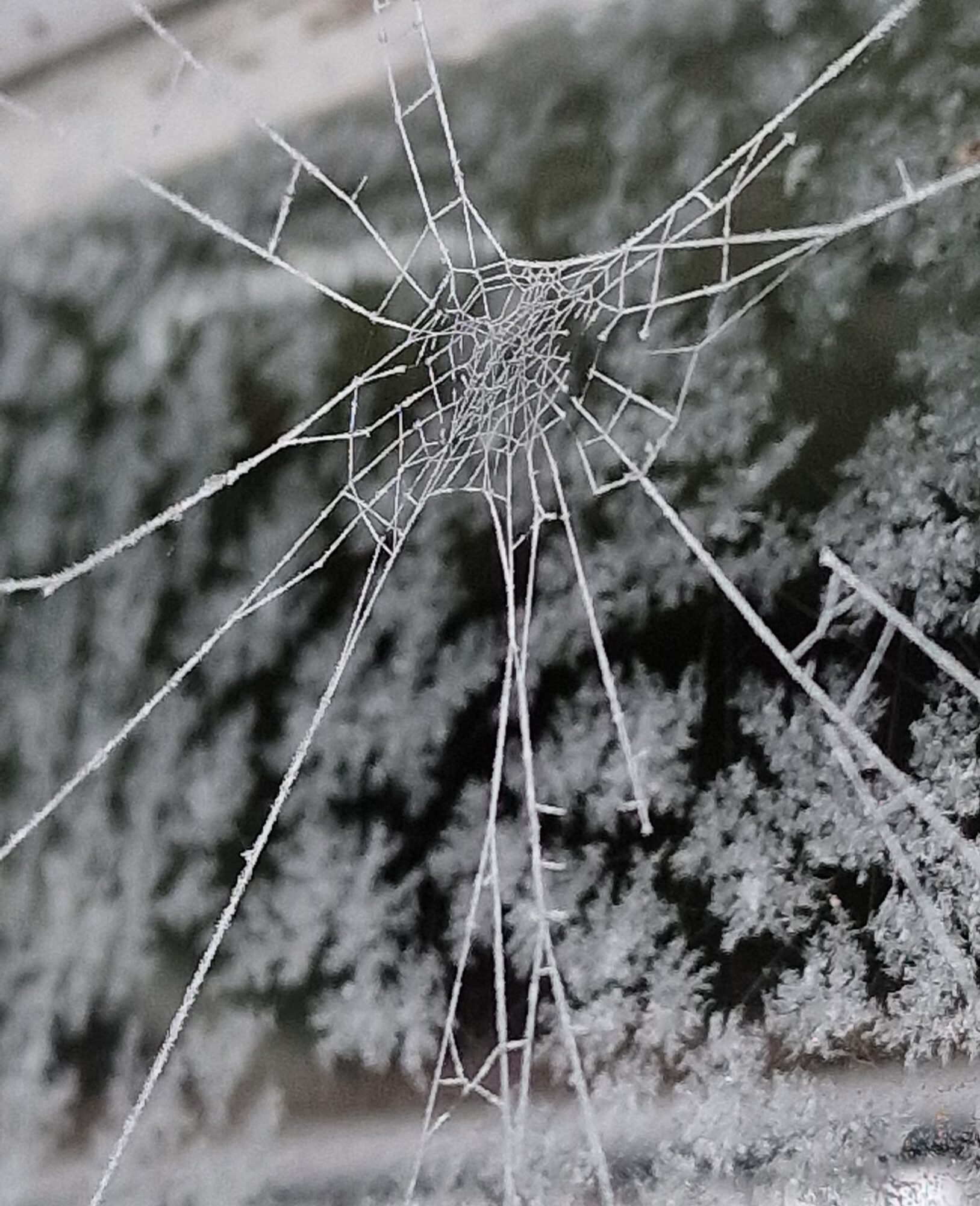 Valokuvaaja: Hanna Rönty