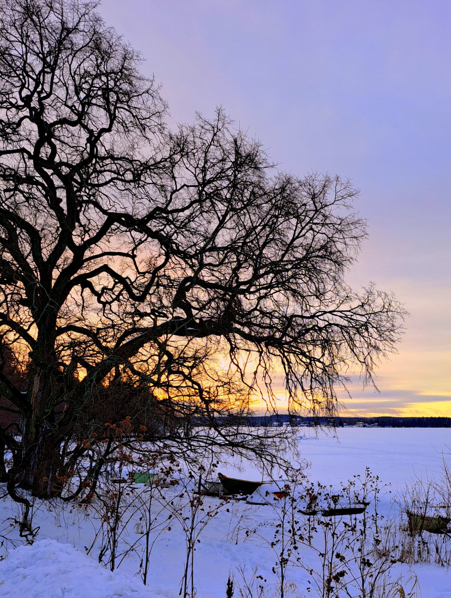 Valokuvaaja: Irja Lehtinen