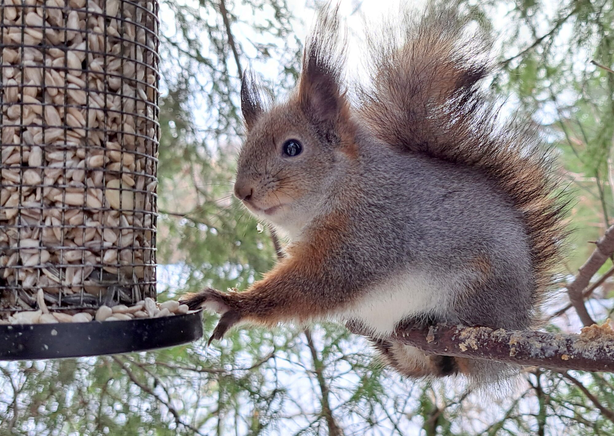 Valokuvaaja: Irja Lehtinen