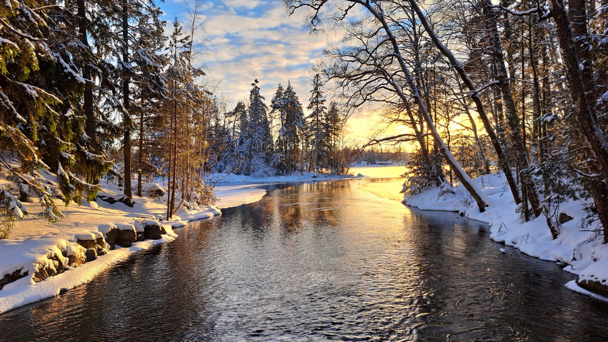 Valokuvaaja: Irja Lehtinen Valokuvaaja: Irja Lehtinen