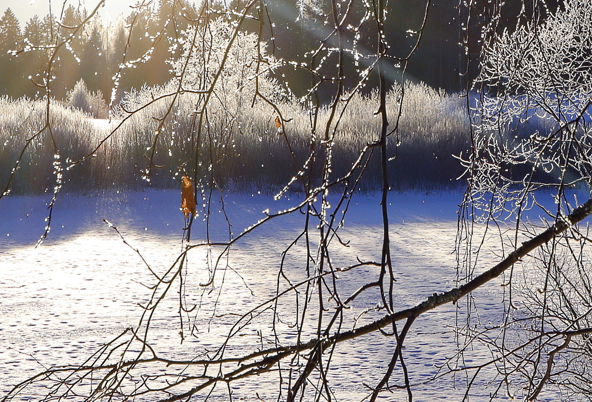 Valokuvaaja: Ritva Nieminen