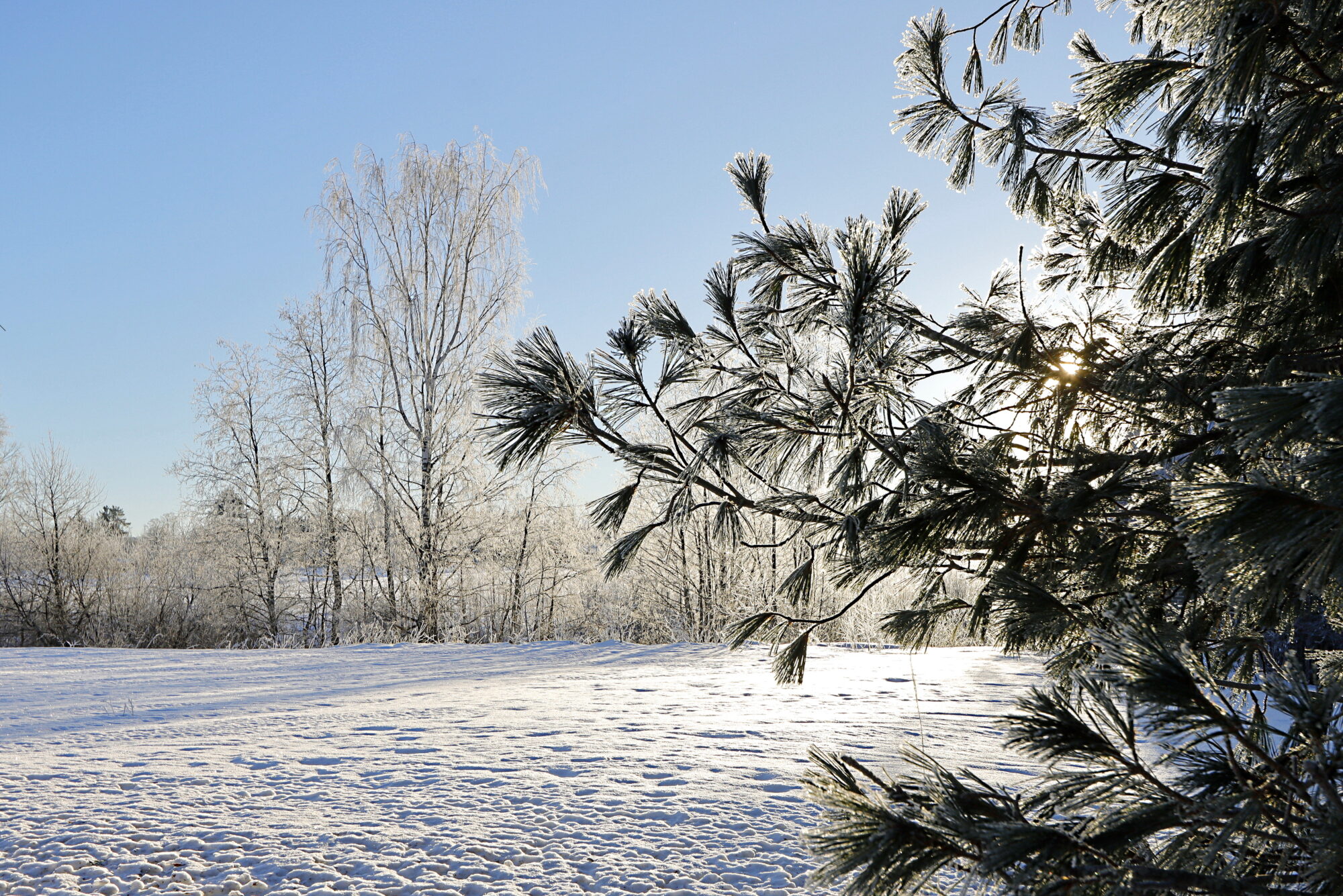 Valokuvaaja: Ritva Nieminen