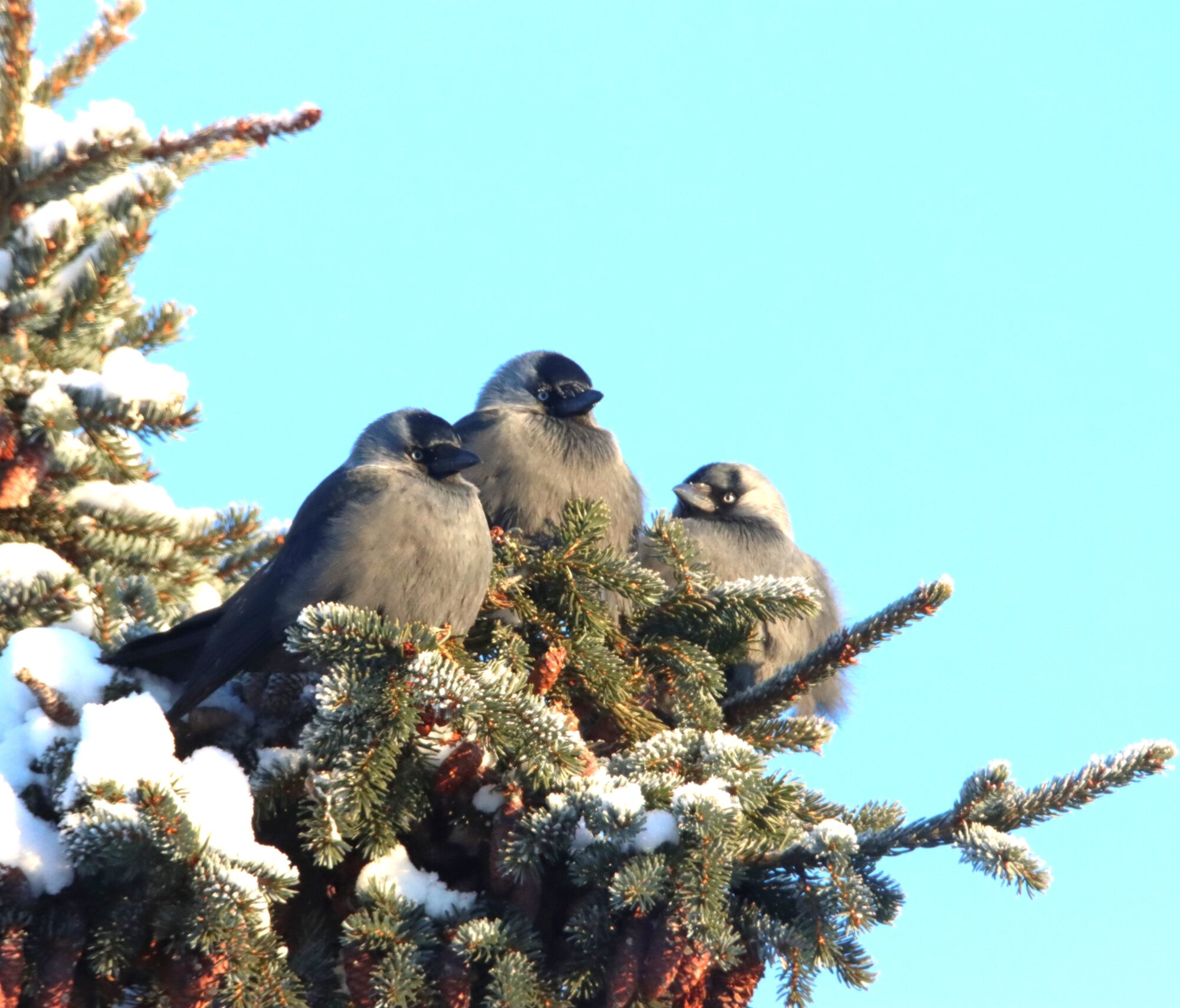 Valokuvaaja: Irja Lehtinen