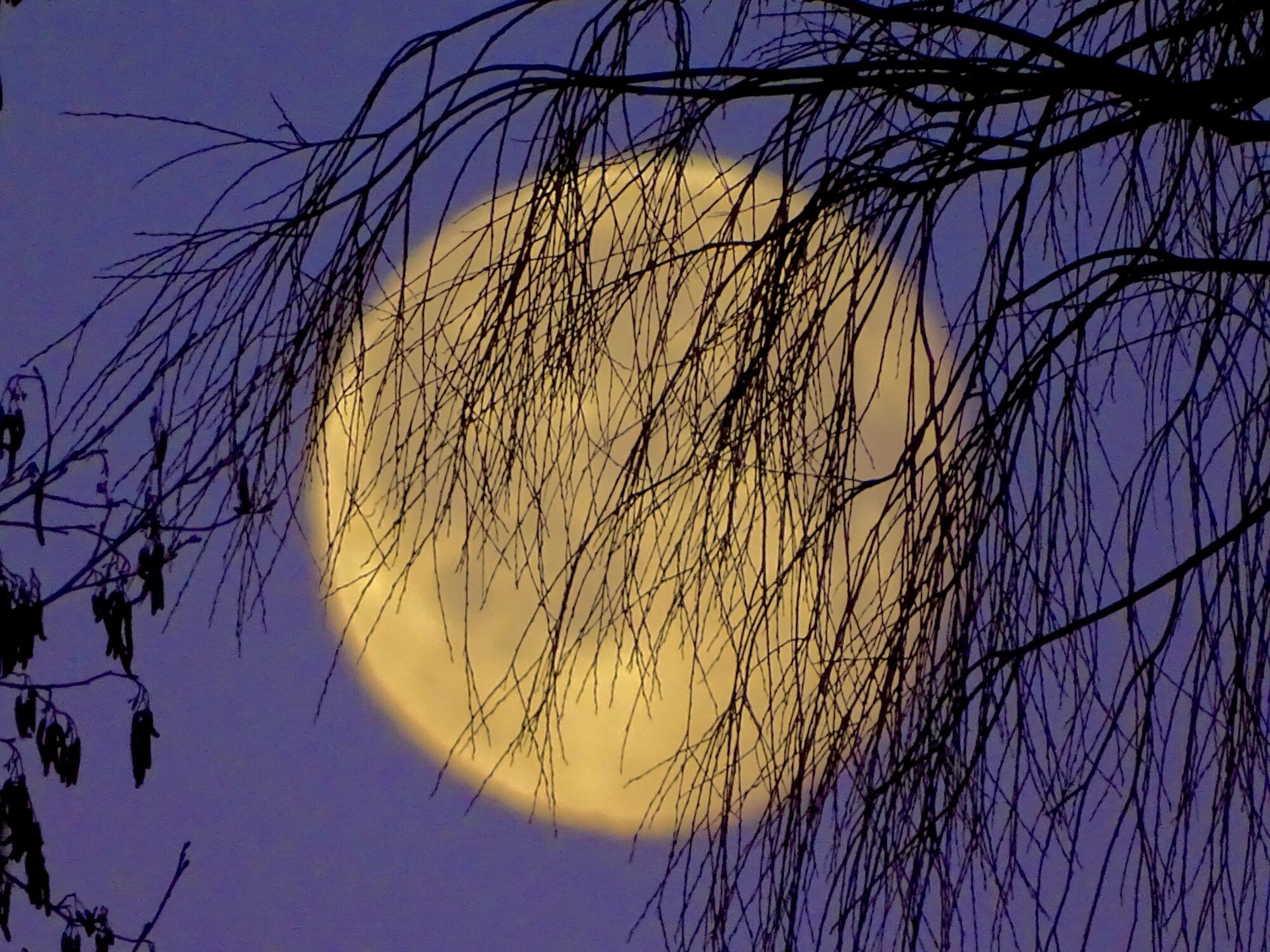 Valokuvaaja: Juhani Peltonen