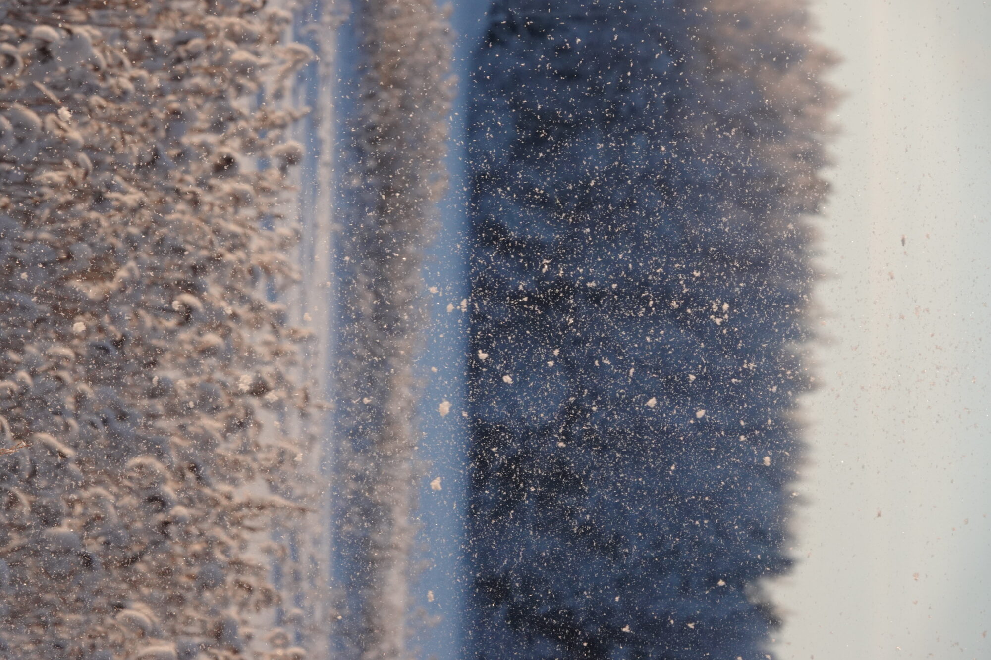 Valokuvaaja: Jenna Pitkänen