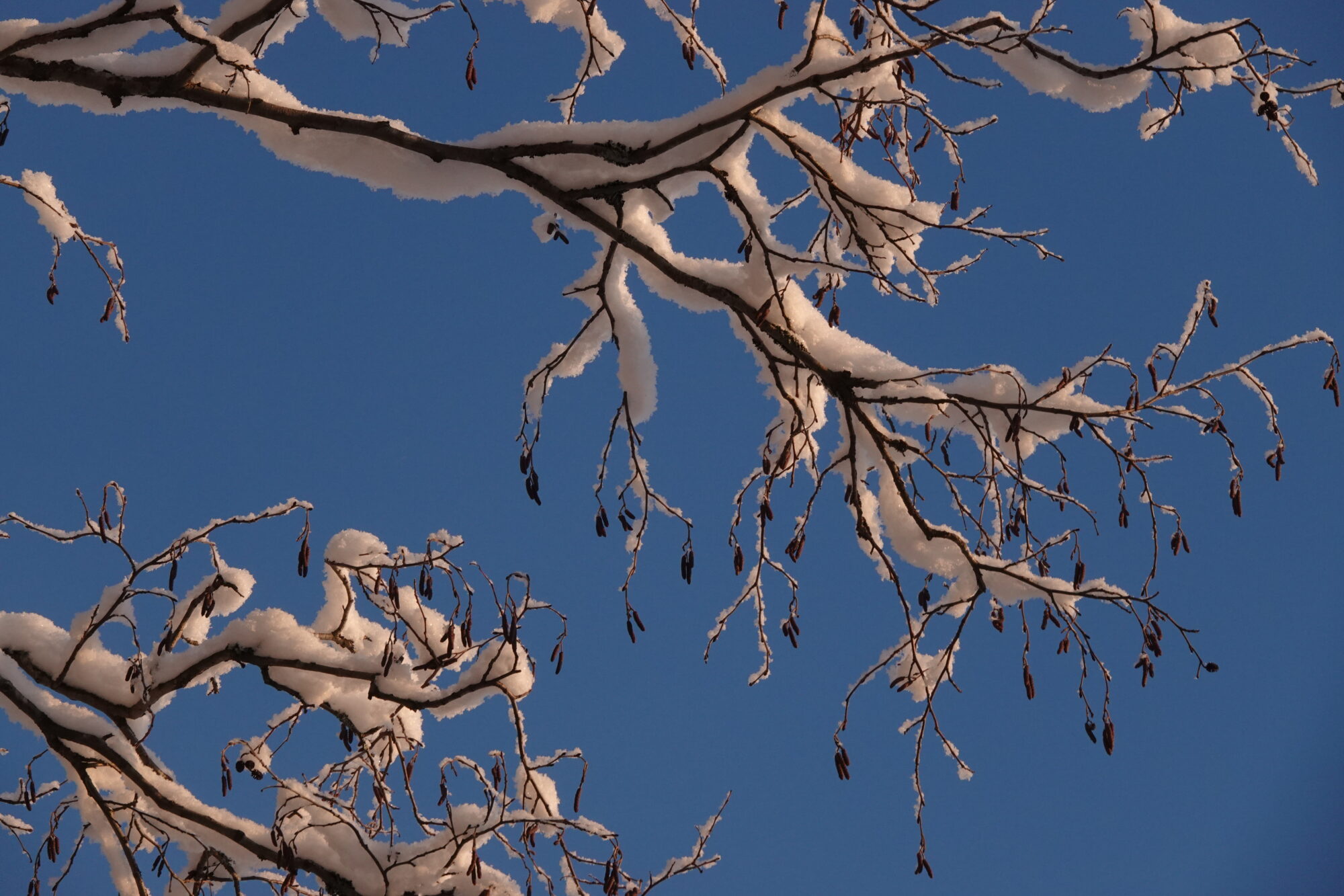 Valokuvaaja: Jenna Pitkänen