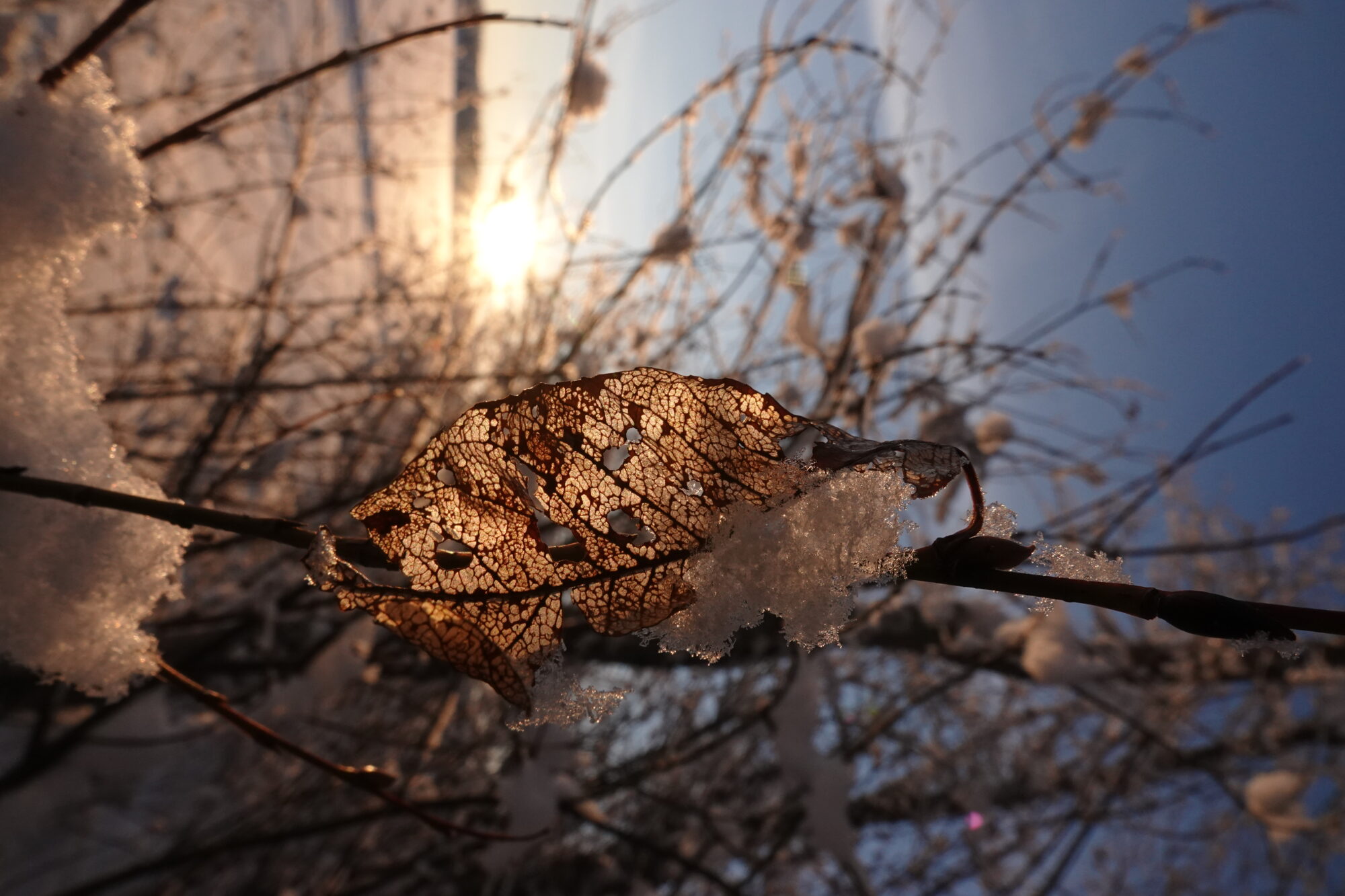 Valokuvaaja: Jenna Pitkänen