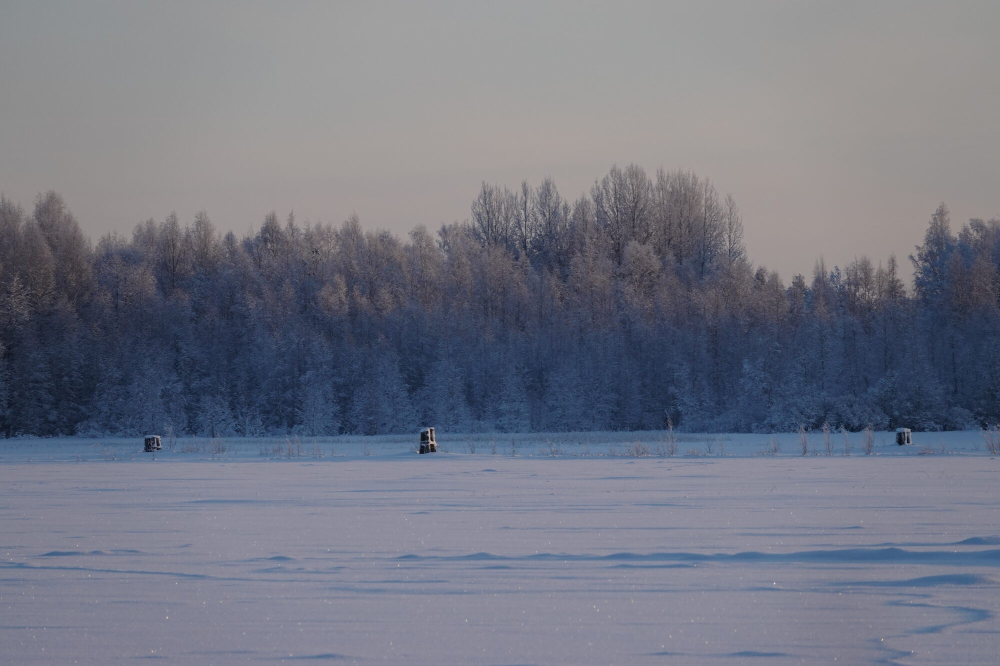 Valokuvaaja: Jenna Pitkänen