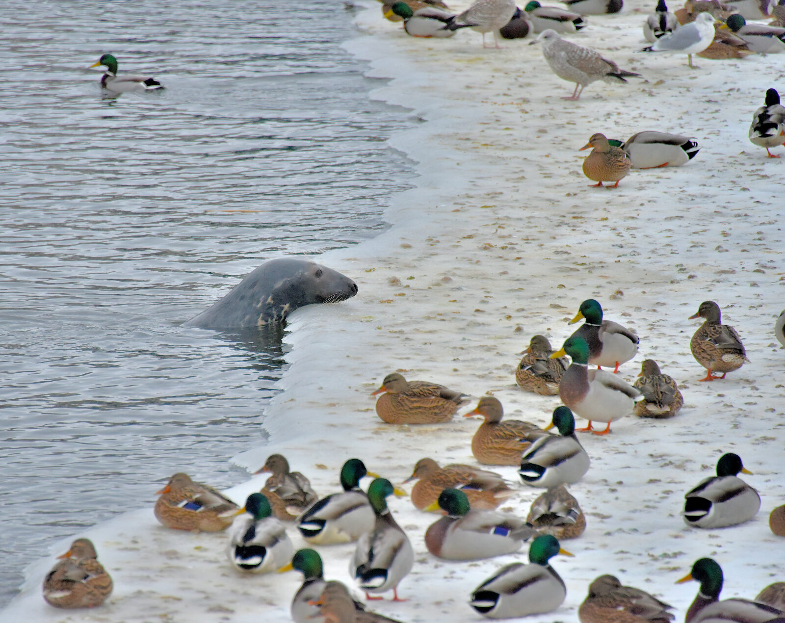 Valokuvaaja: Reijo juurinen