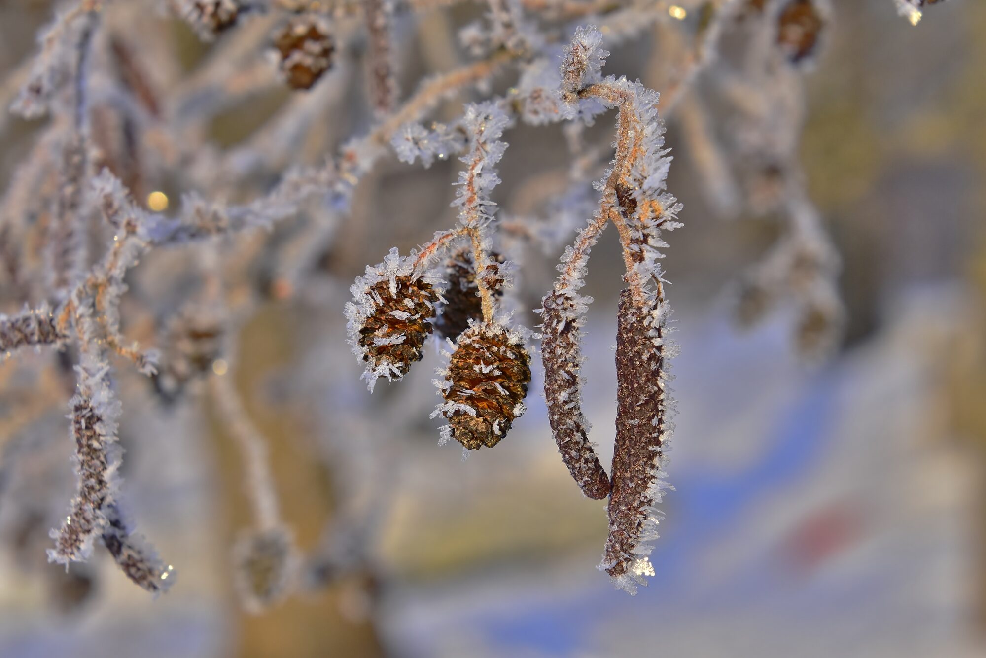 Valokuvaaja: Markku Pelkonen