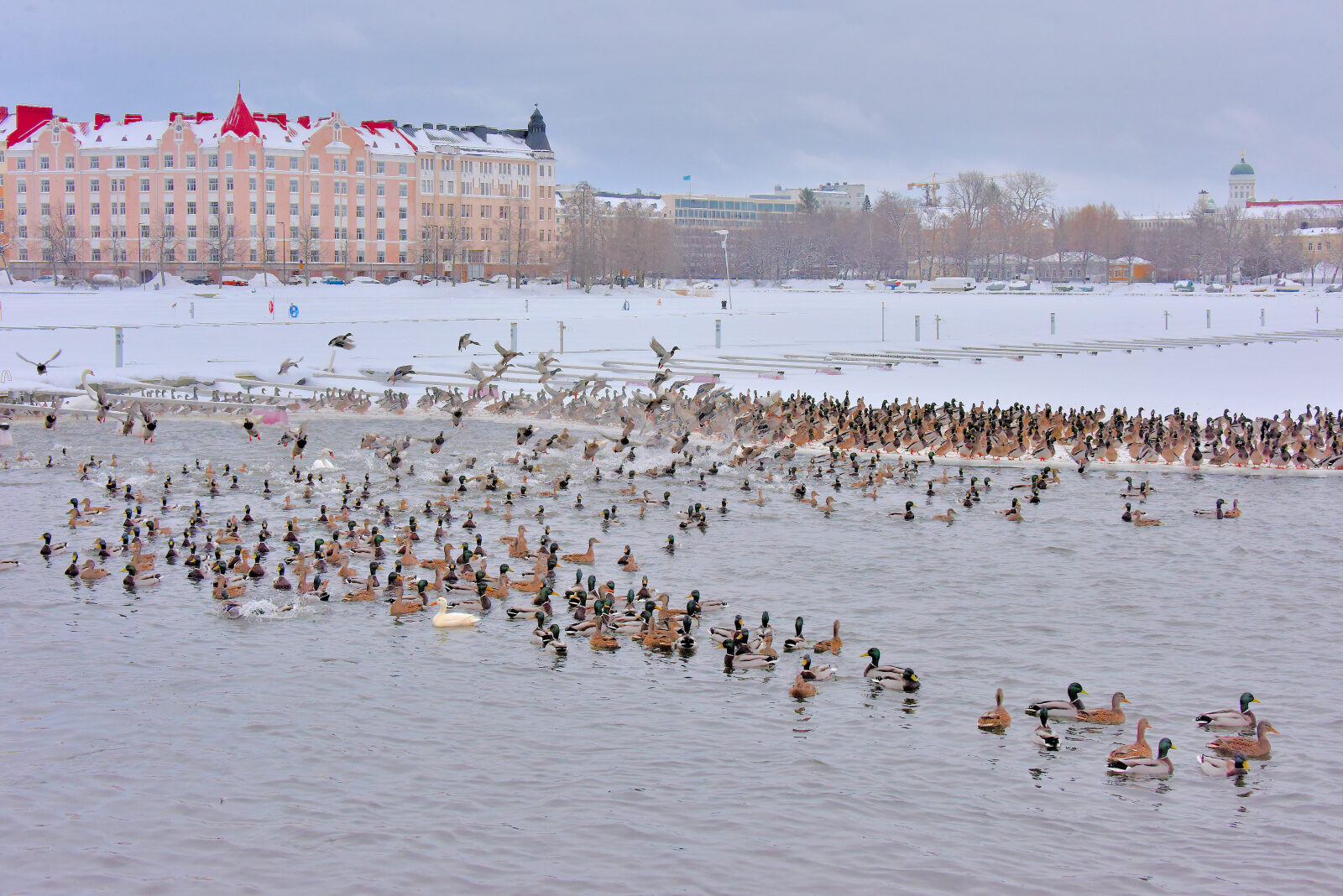 Valokuvaaja: Reijo juurinen