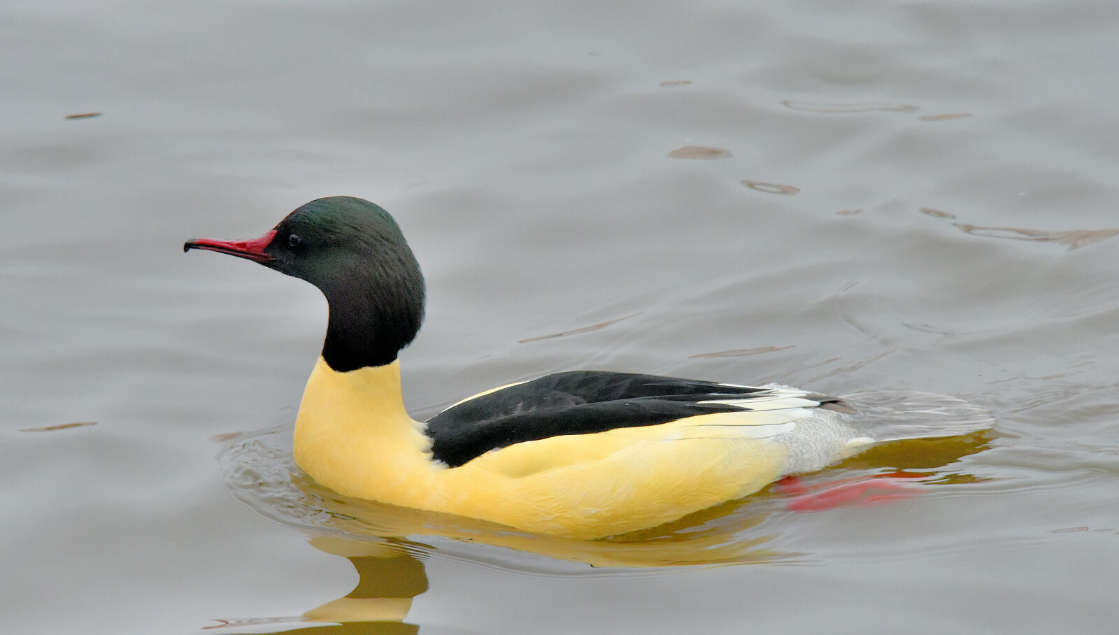 Valokuvaaja: Reijo Juurinen