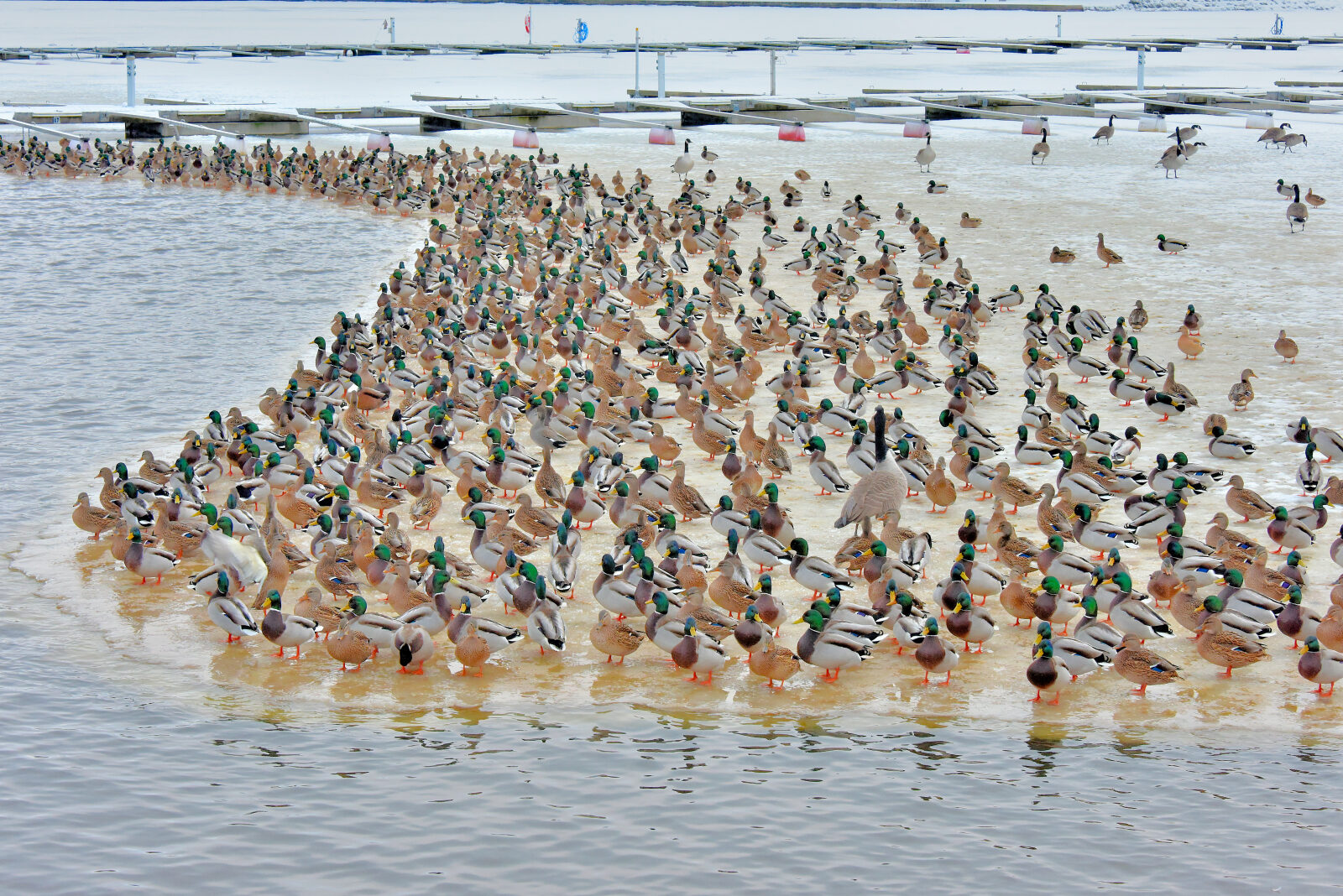 Valokuvaaja: Reijo Juurinen