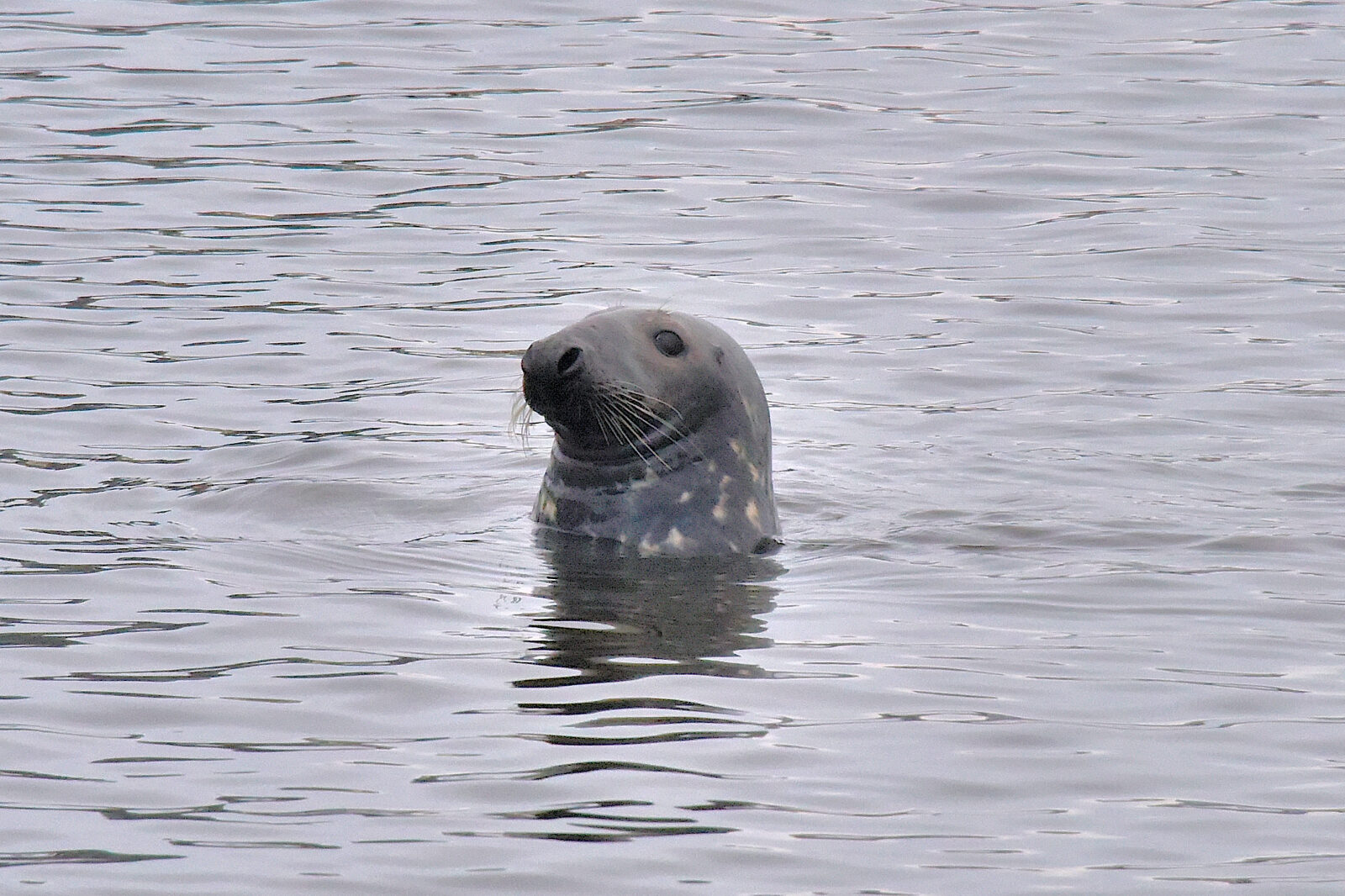 Valokuvaaja: Reijo Juurinen