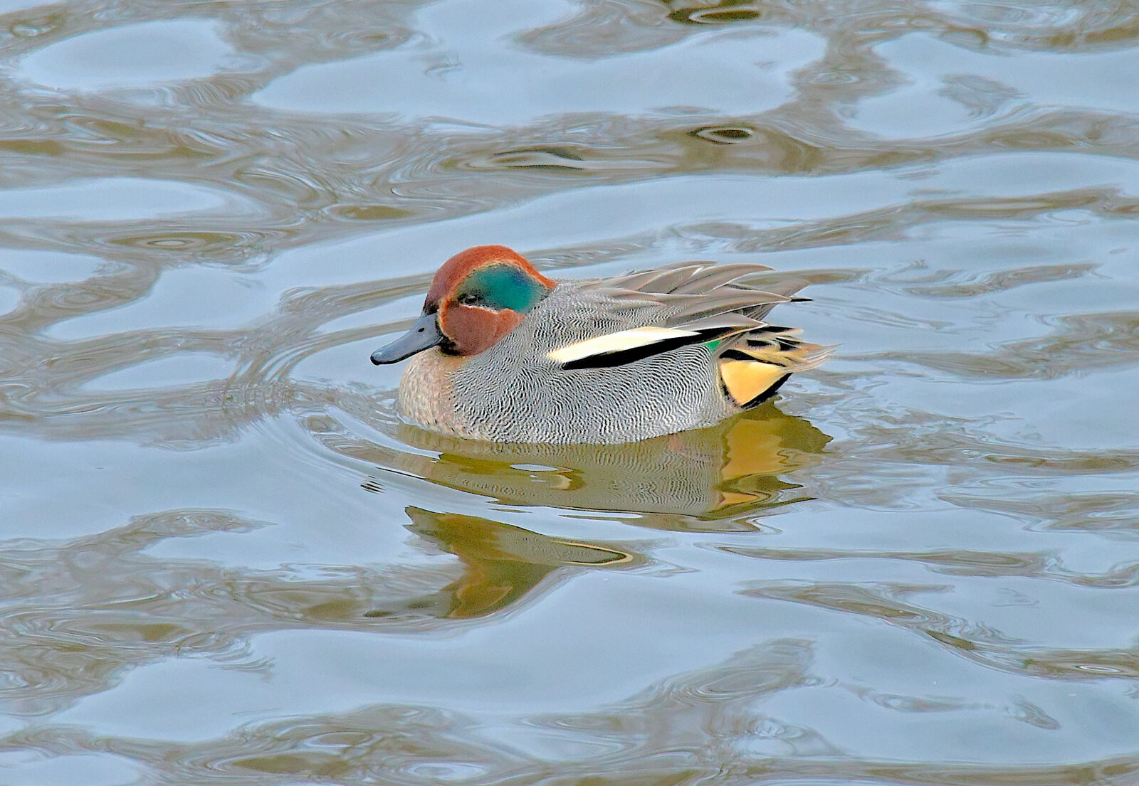 Valokuvaaja: Reijo Juurinen
