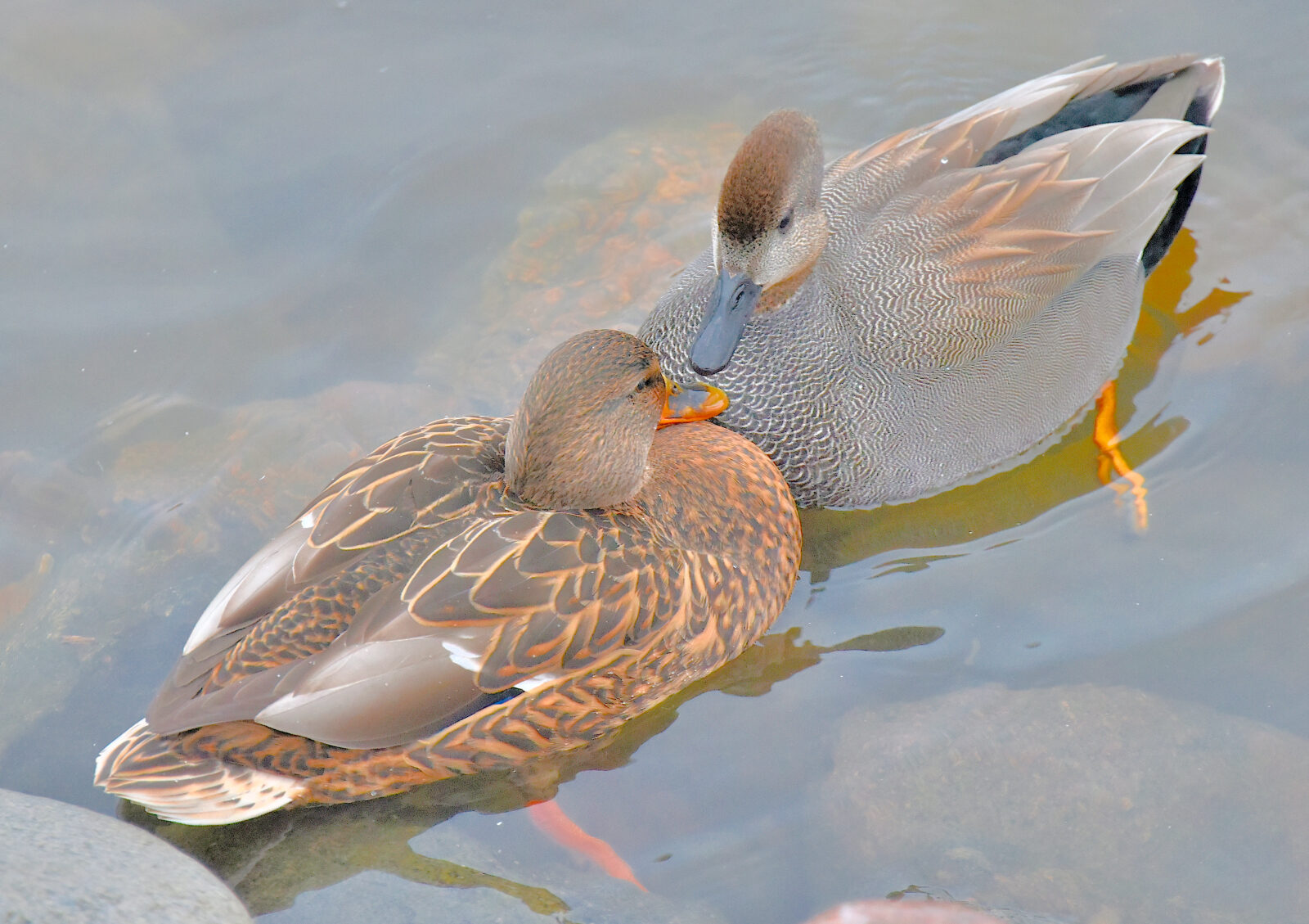 Valokuvaaja: Reijo Juurinen