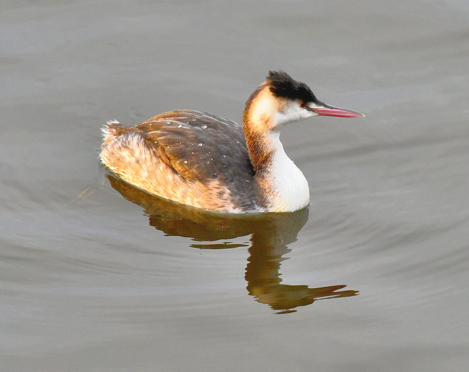 Valokuvaaja: Reijo Juurinen