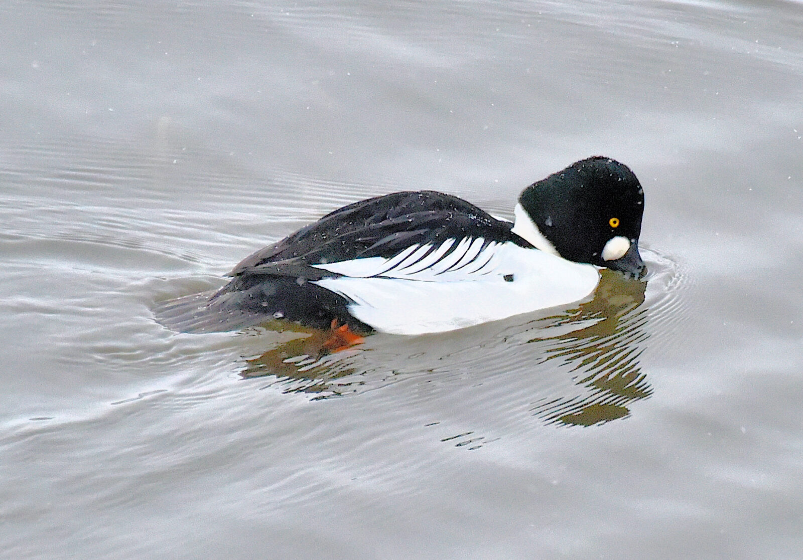 Valokuvaaja: Reijo Juurinen