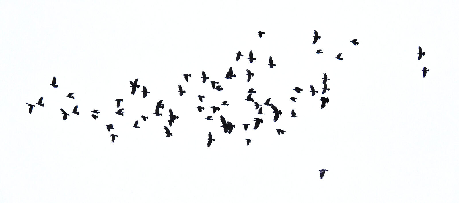 Valokuvaaja: Reijo Juurinen