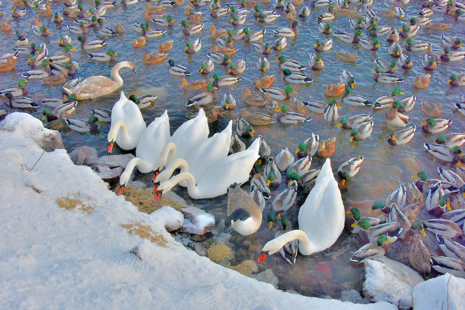 Valokuvaaja: Reijo Juurinen