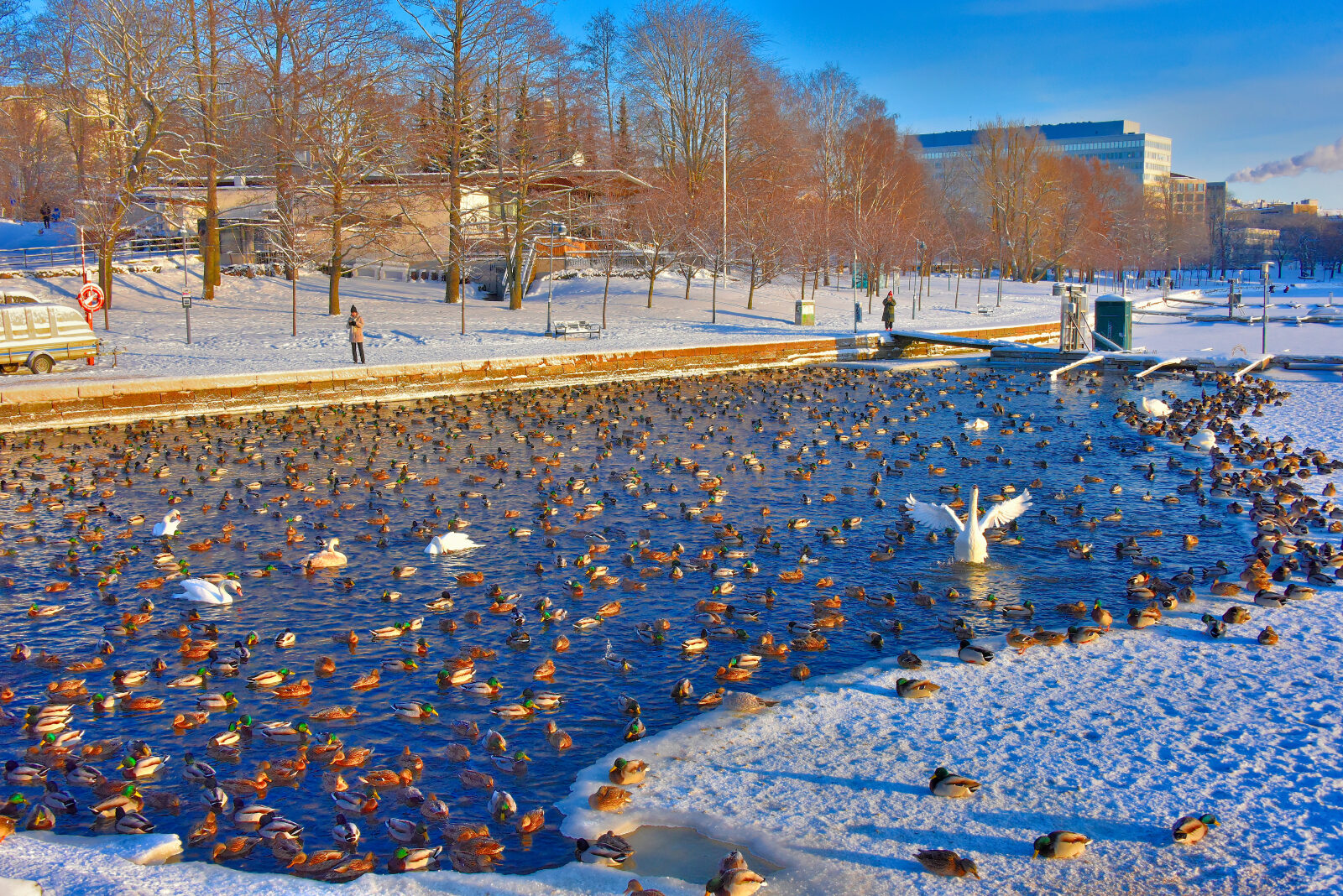 Valokuvaaja: Reijo juurinen Valokuvaaja: Reijo juurinen