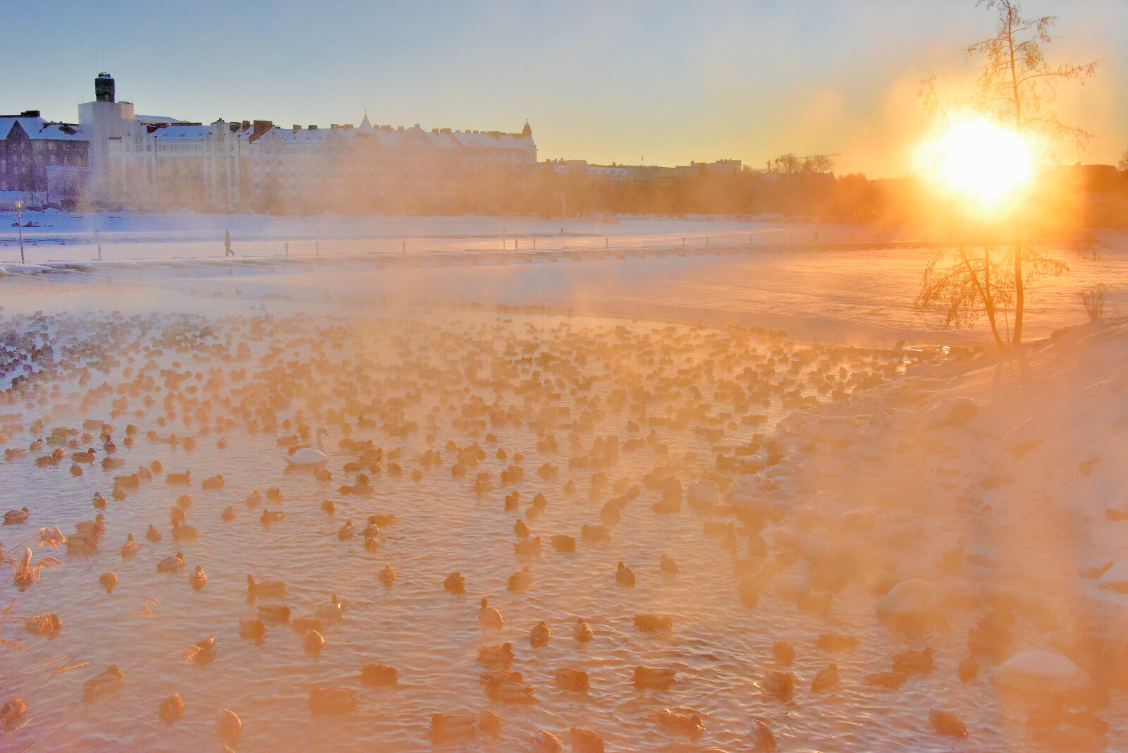 Valokuvaaja: Reijo juurinen