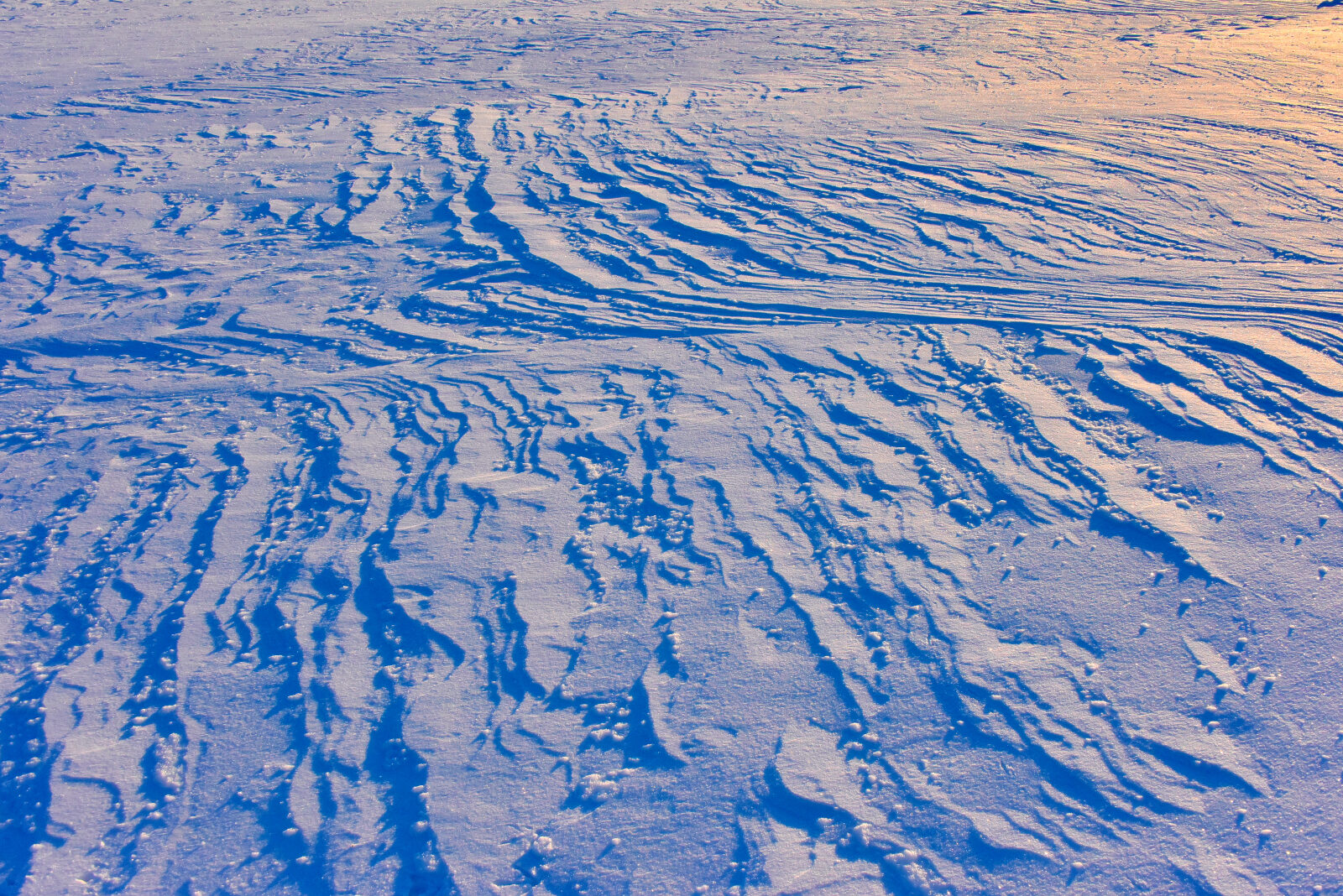 Valokuvaaja: Reijo juurinen