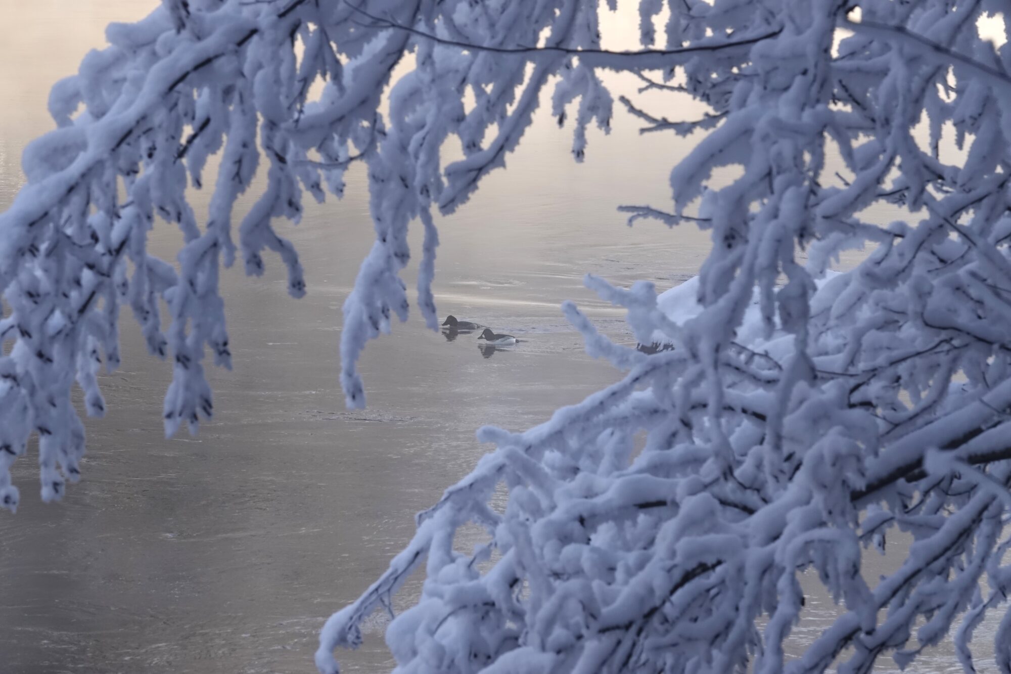 Valokuvaaja: Maarit Siitonen