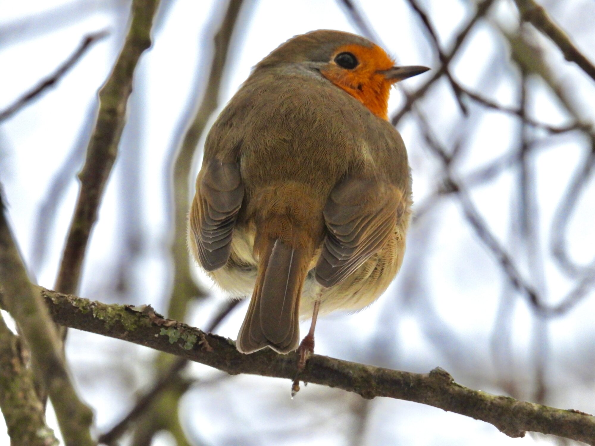 Valokuvaaja: Juhani Peltonen
