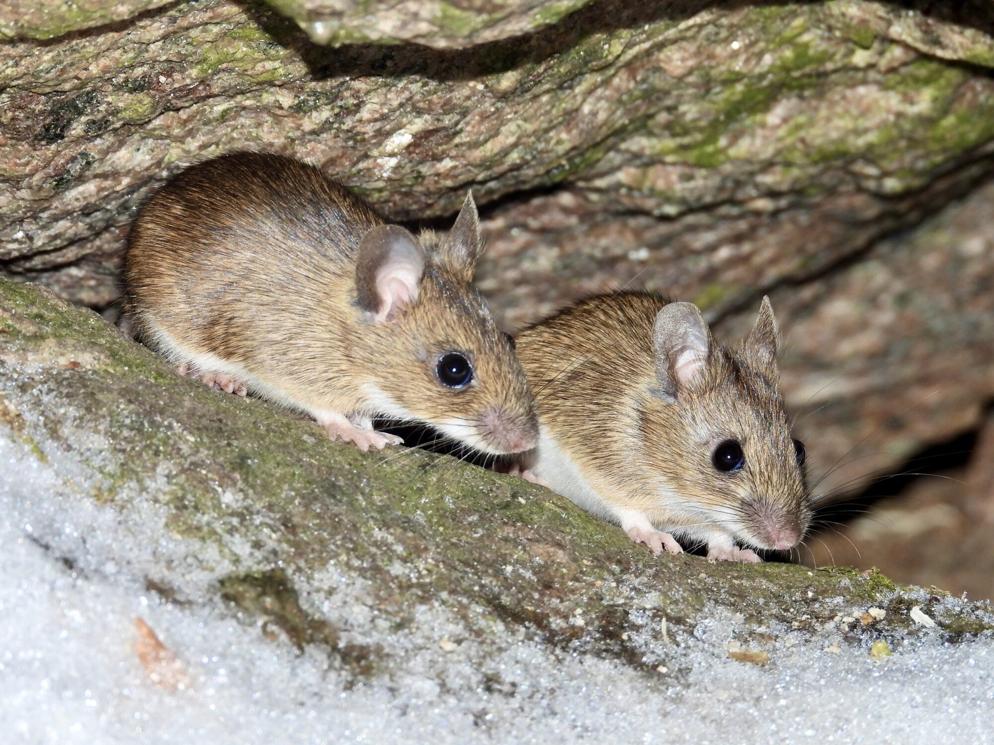 Valokuvaaja: Juhani Peltonen