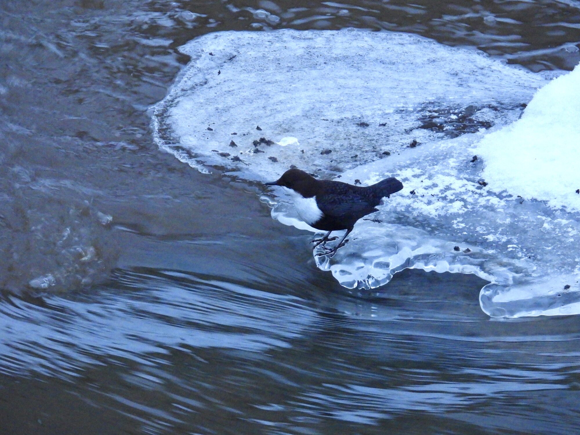 Valokuvaaja: Juhani Peltonen