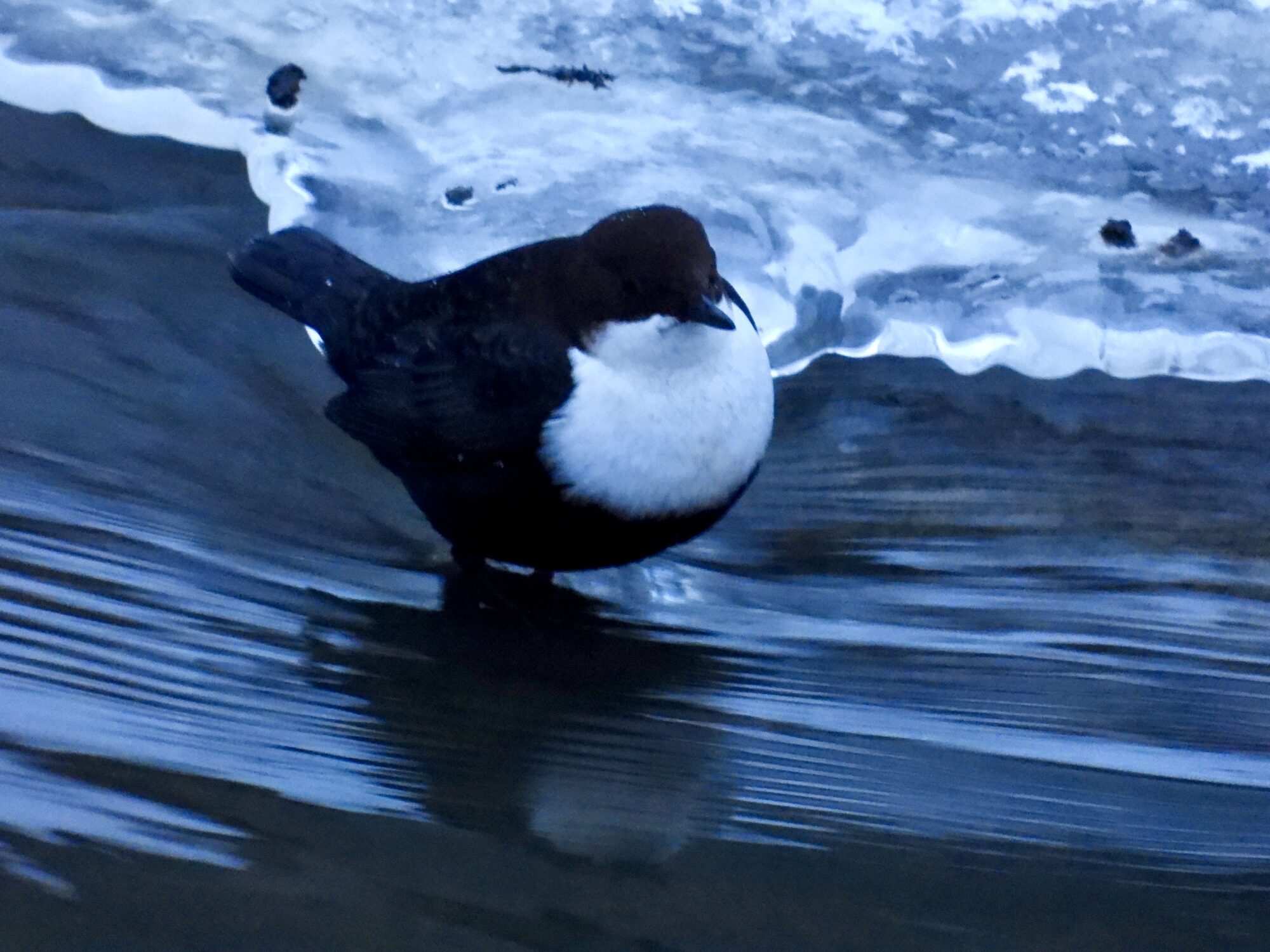 Valokuvaaja: Juhani Peltonen