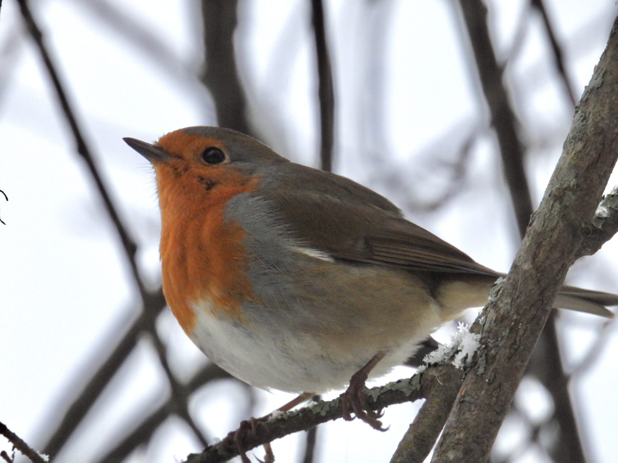 Valokuvaaja: Juhani Peltonen
