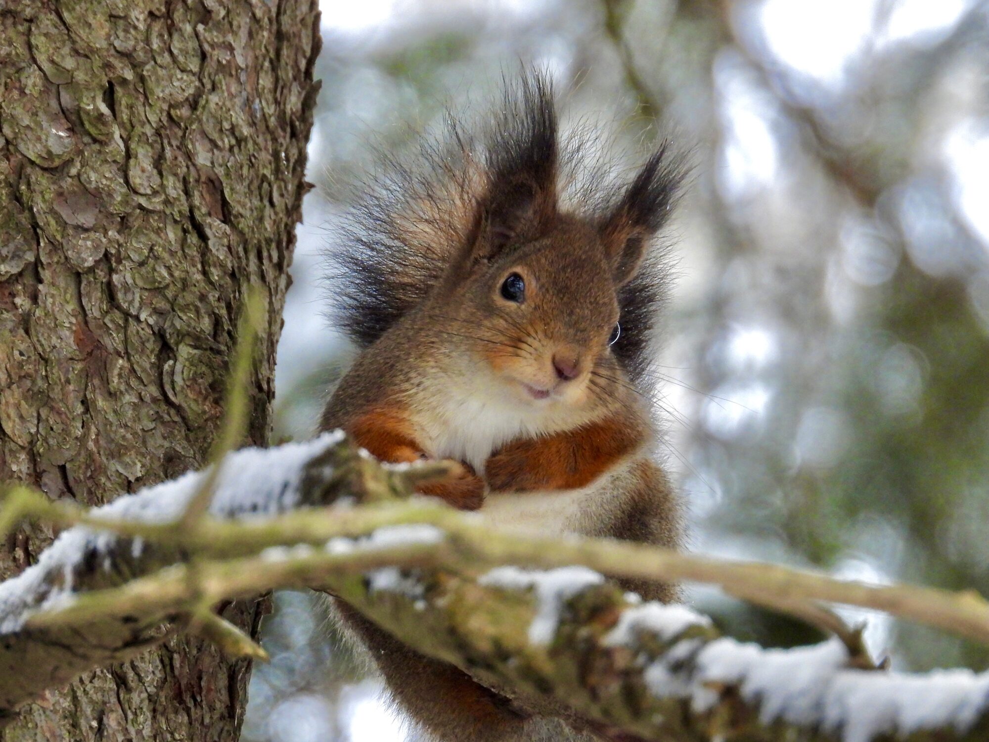 Valokuvaaja: Juhani Peltonen