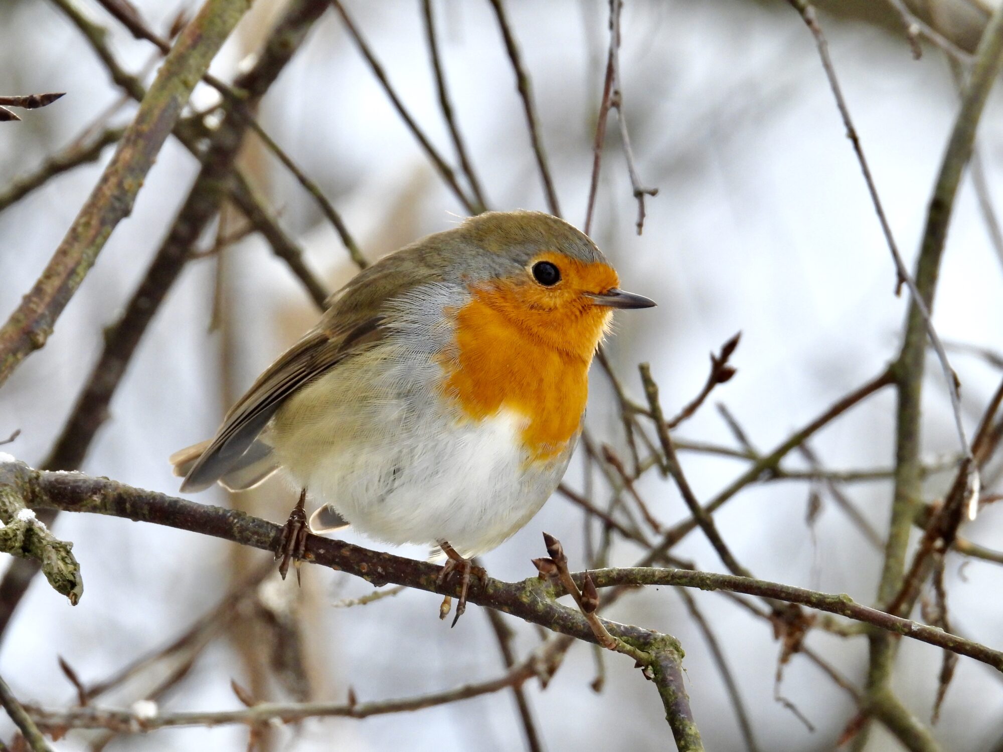 Valokuvaaja: Juhani Peltonen
