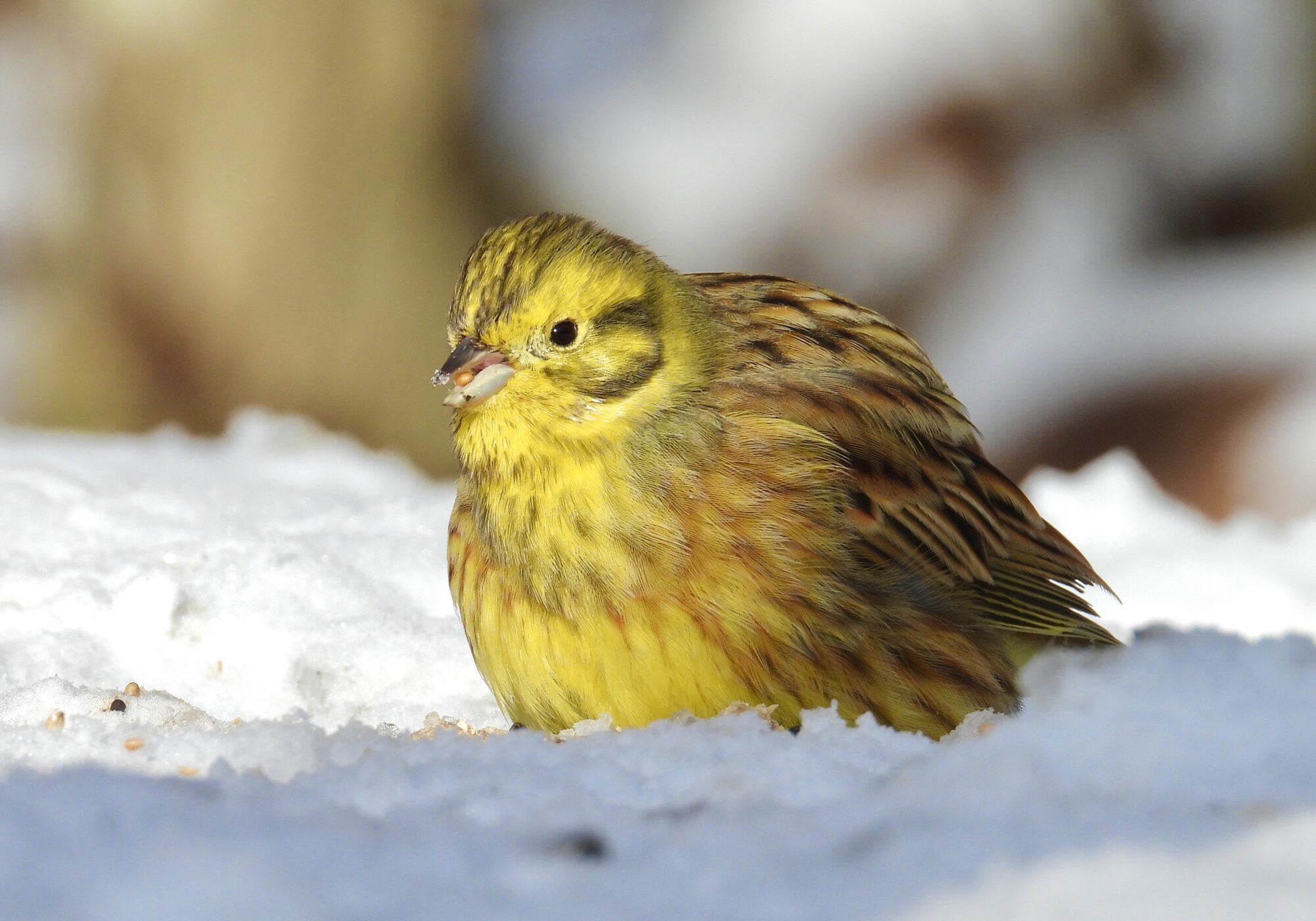 Valokuvaaja: Juhani Peltonen