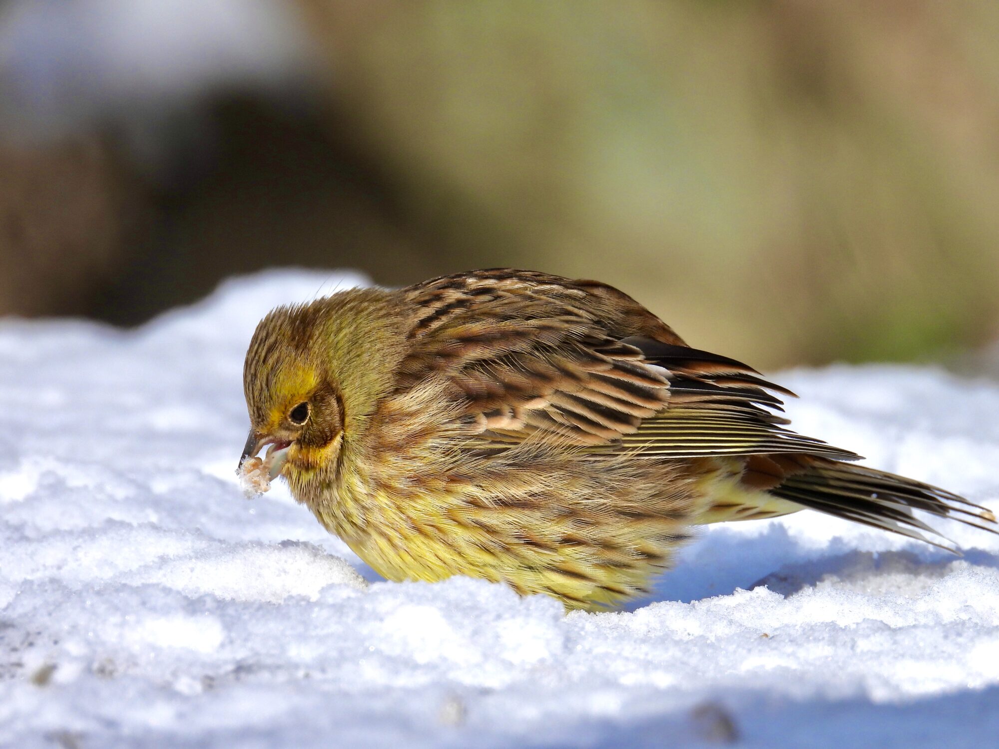 Valokuvaaja: Juhani Peltonen