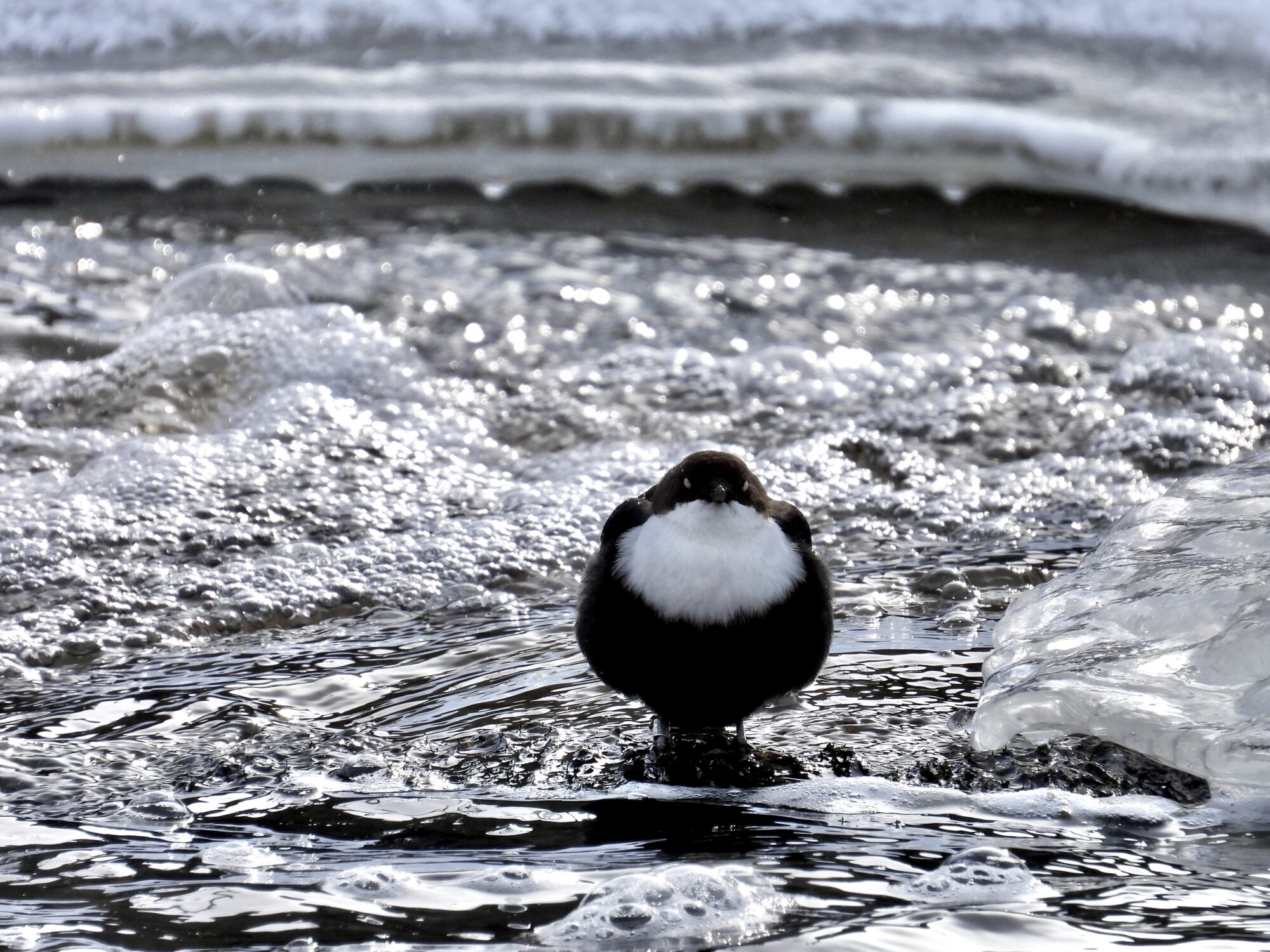 Valokuvaaja: Juhani Peltonen