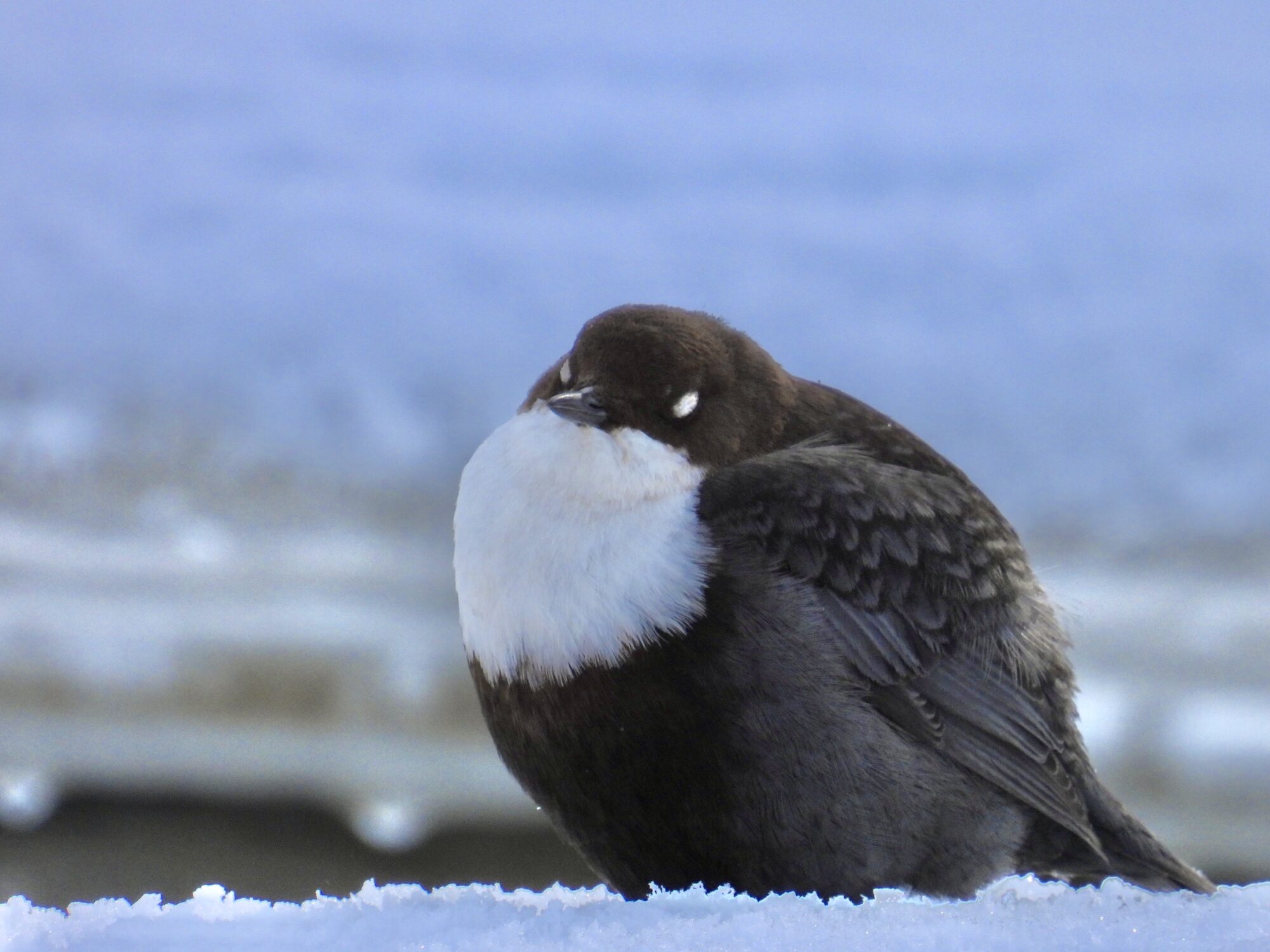 Valokuvaaja: Juhani Peltonen