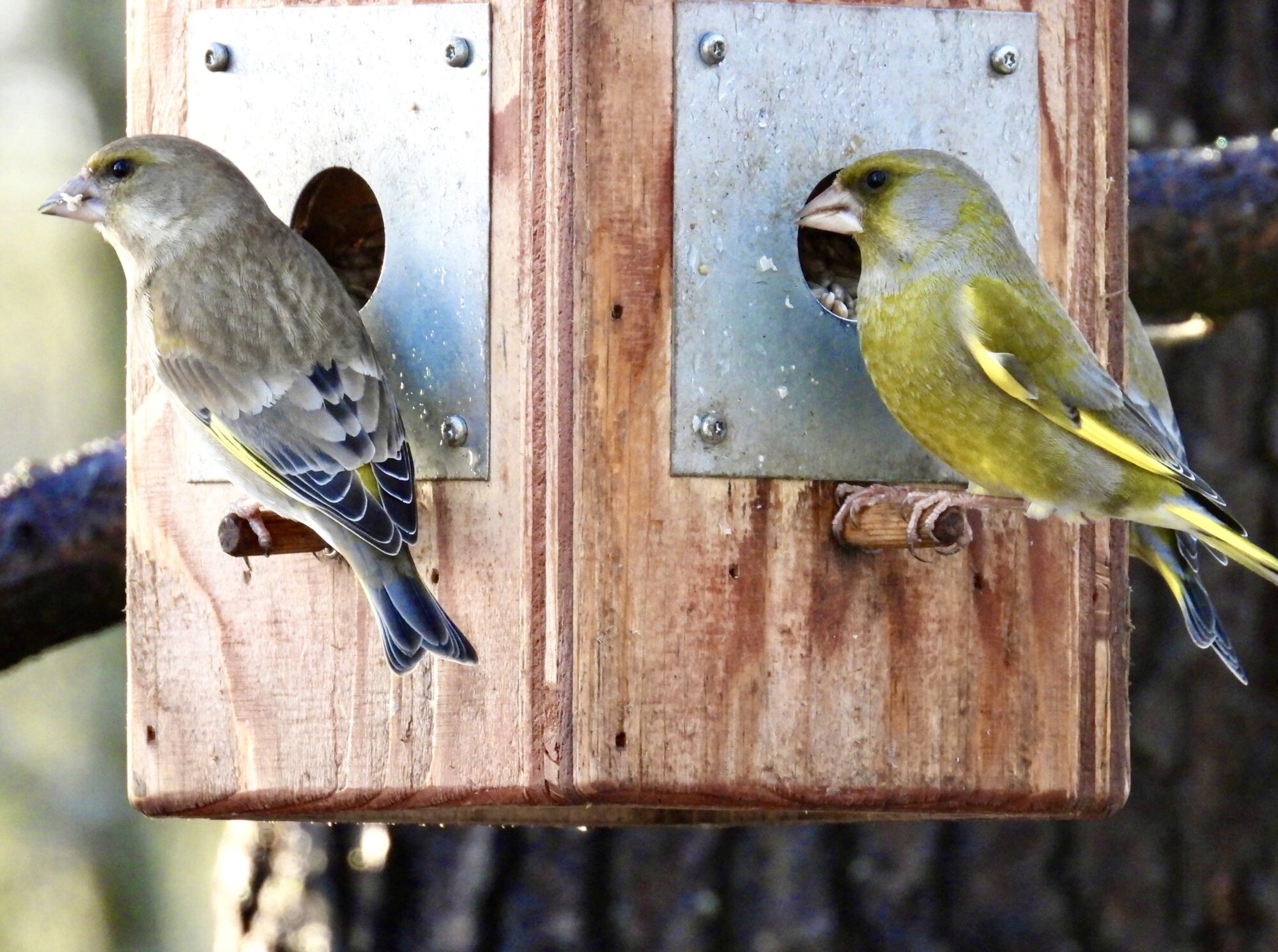Valokuvaaja: Juhani Peltonen