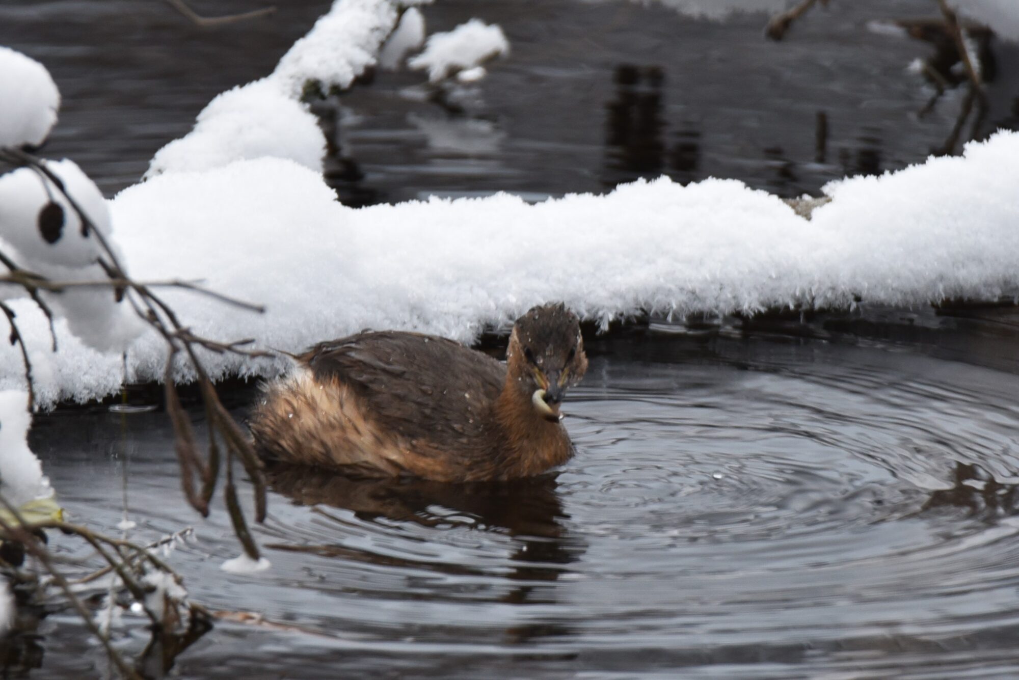 Valokuvaaja: Maarit Siitonen Valokuvaaja: Maarit Siitonen