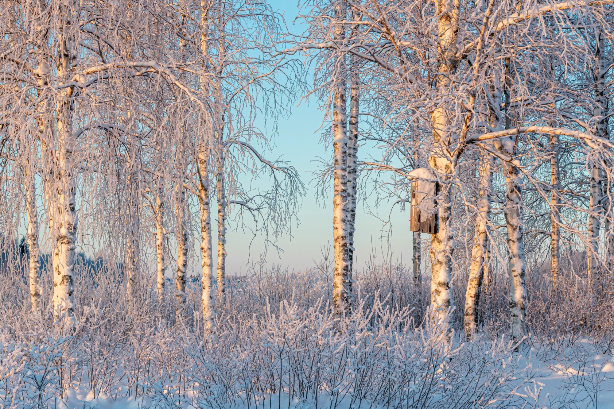Valokuvaaja: Leena Rissanen