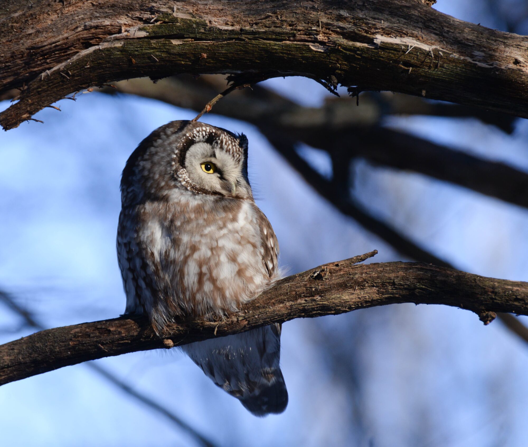 Valokuvaaja: Anne Ruuska Valokuvaaja: Anne Ruuska