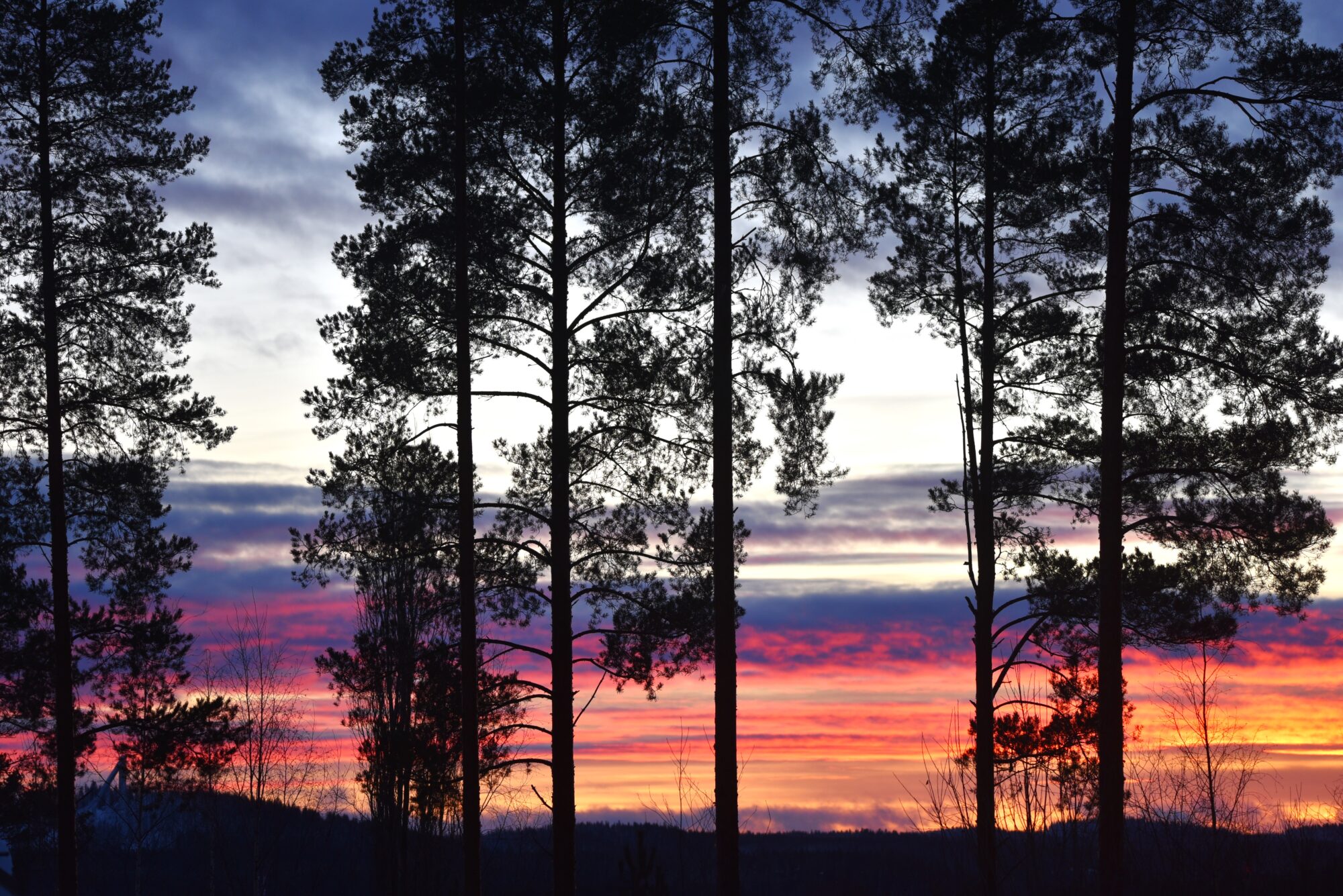 Valokuvaaja: Maarit Siitonen
