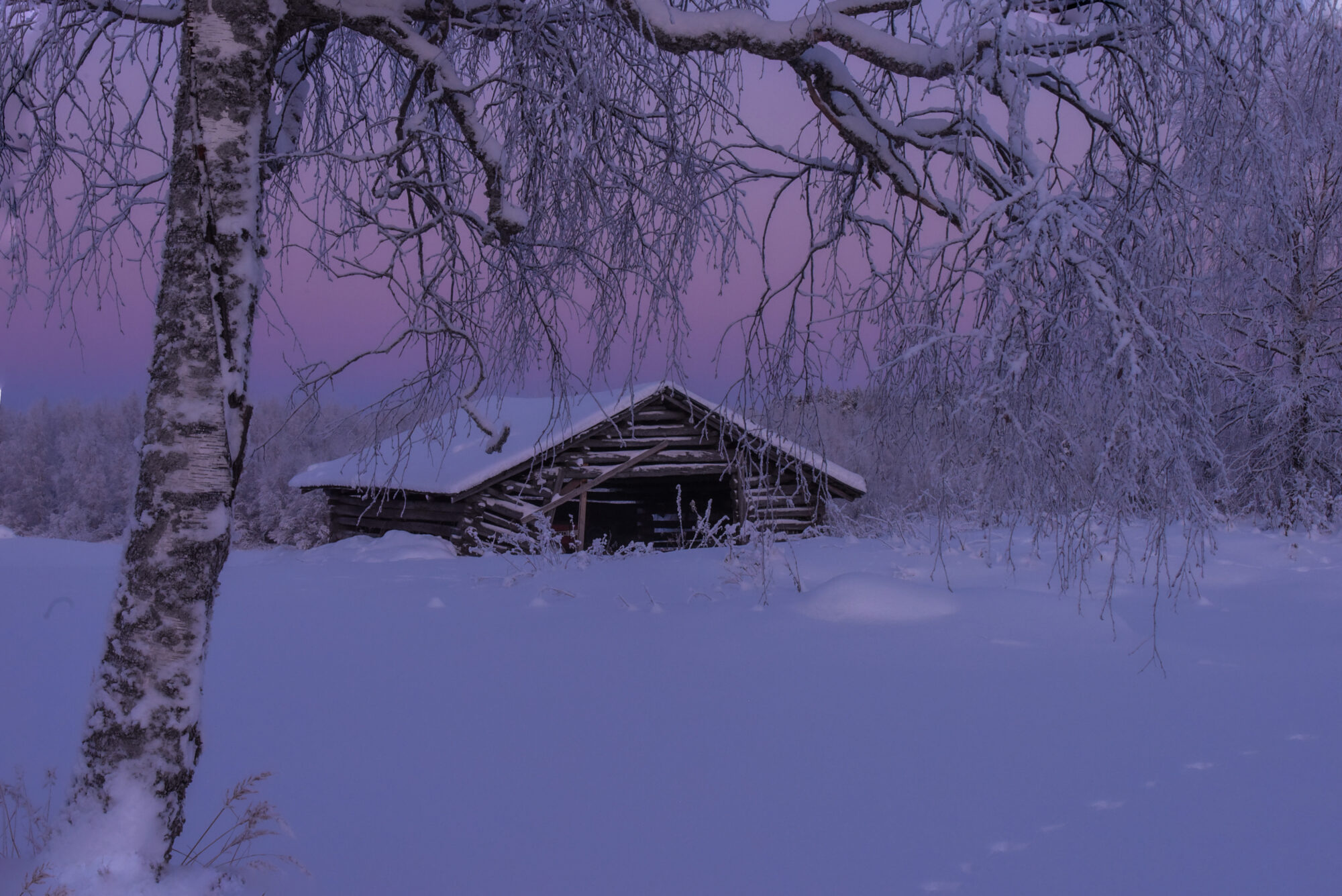 Valokuvaaja: Maija Savolainen Valokuvaaja: Maija Savolainen
