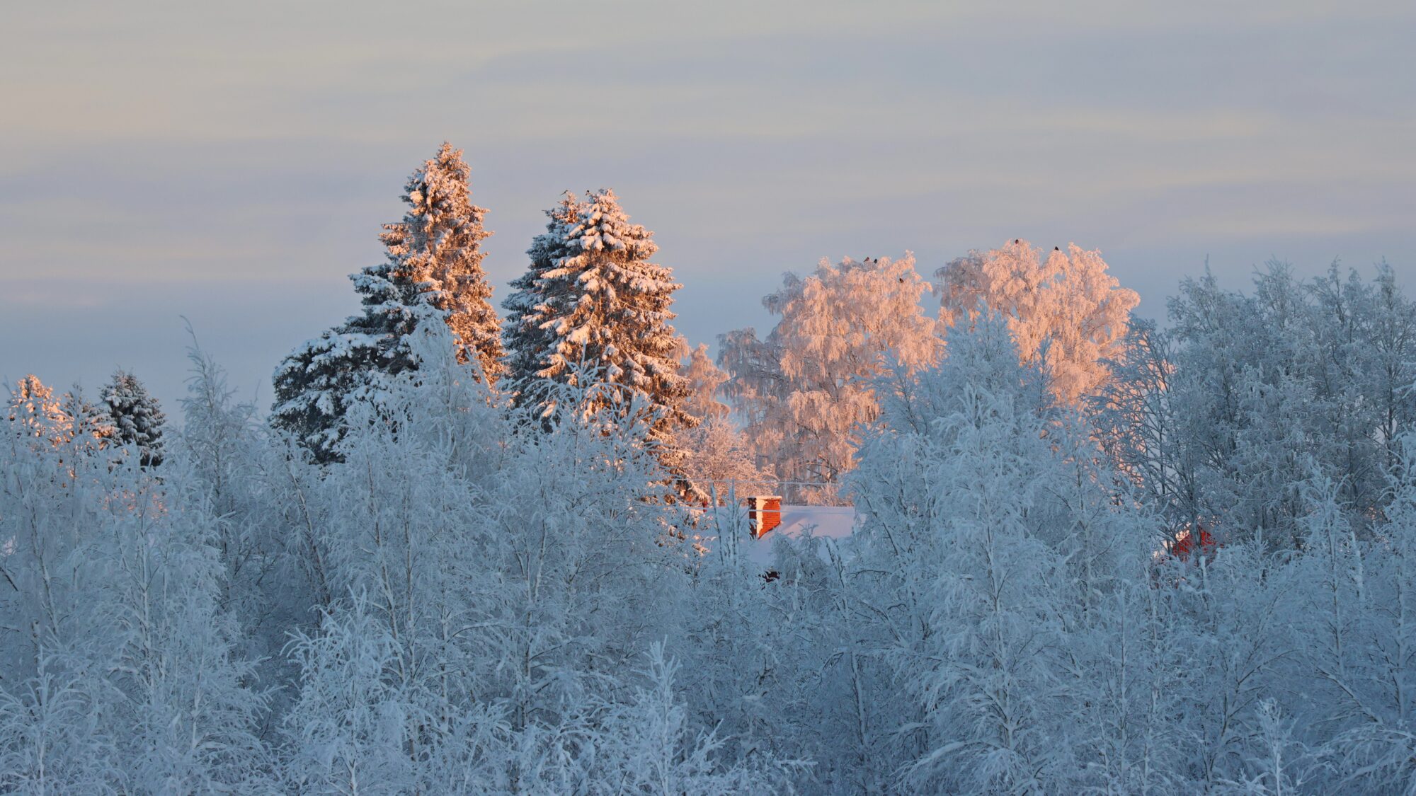 Valokuvaaja: SINIKKA KUJALA
